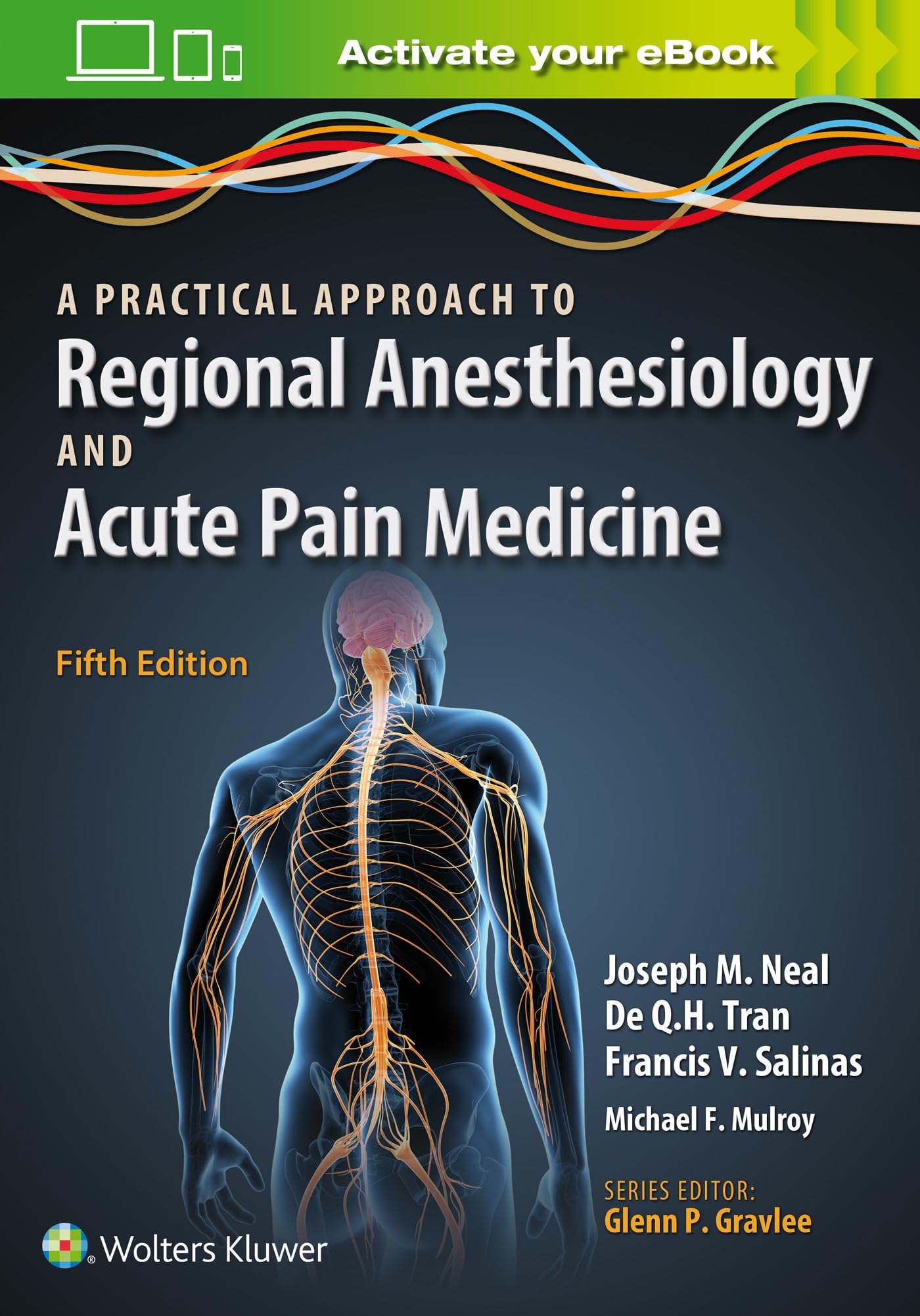 Cover of A Practical Approach to Regional Anesthesiology and Acute Pain Medicine