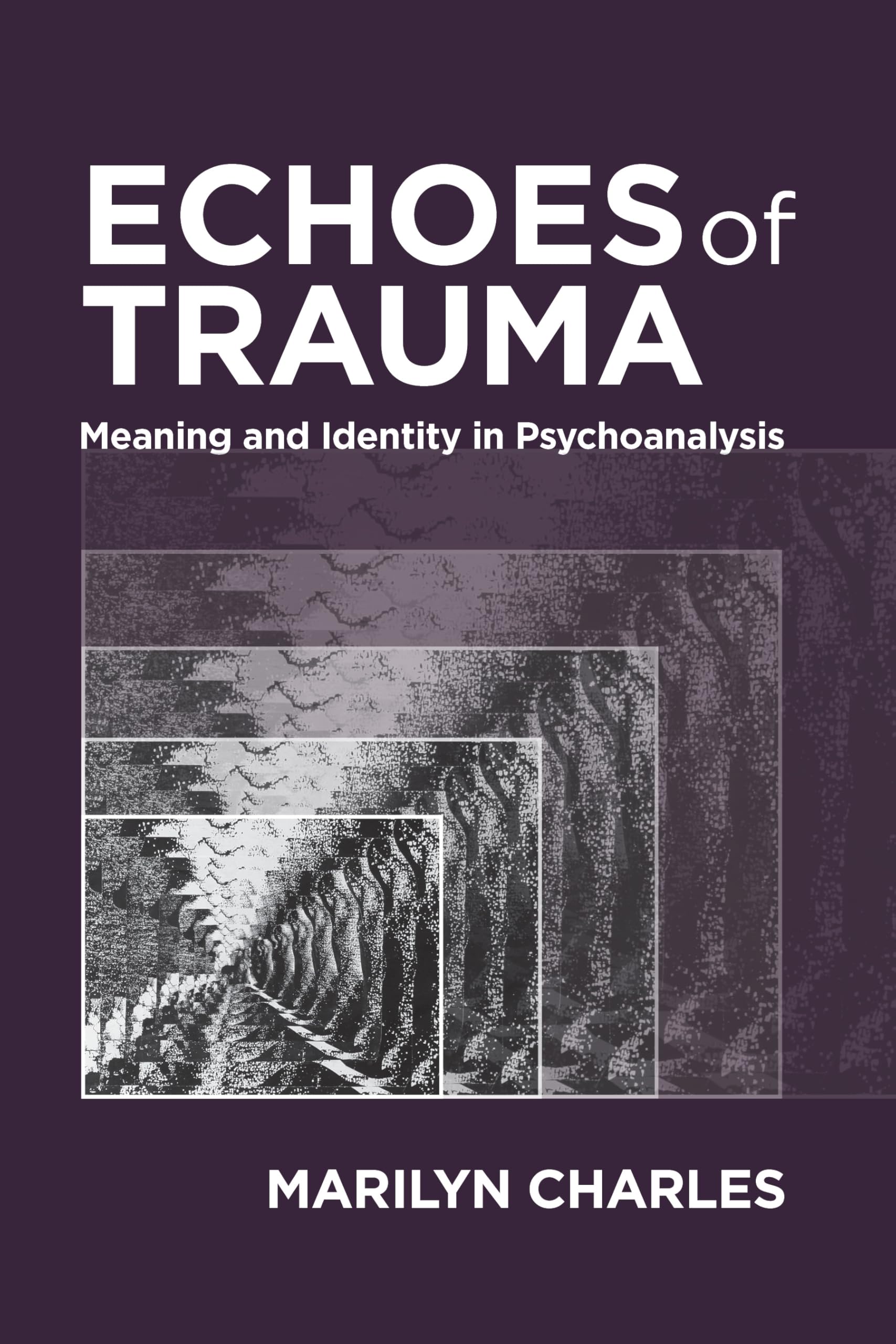 Cover of Echoes of Trauma: Meaning and Identity in Psychoanalysis