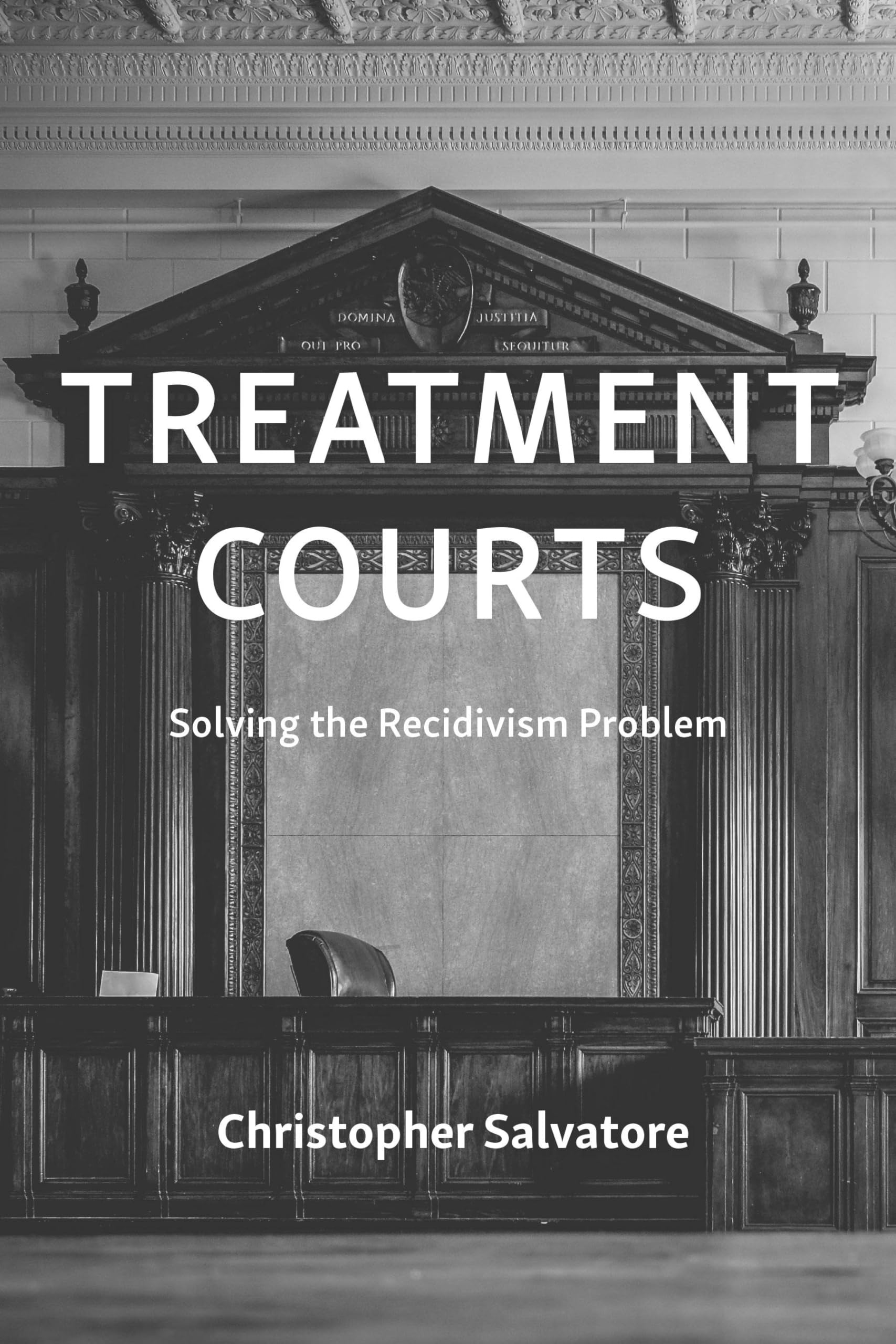 Cover of Treatment Courts: Solving the Recidivism Problem