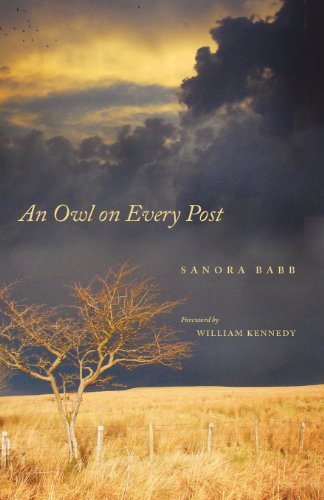 Cover of An Owl on Every Post