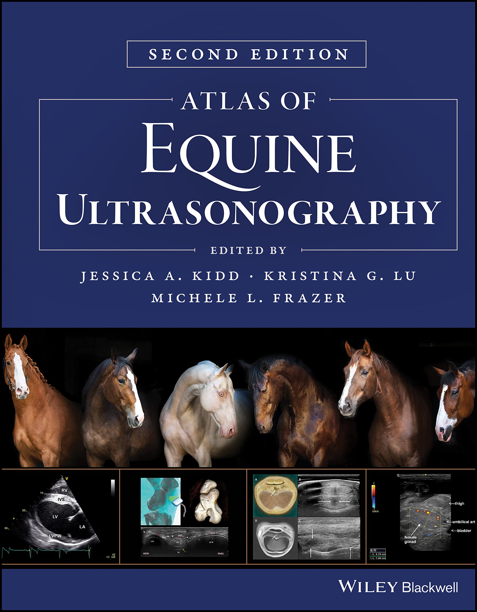 Cover of Atlas of Equine Ultrasonography