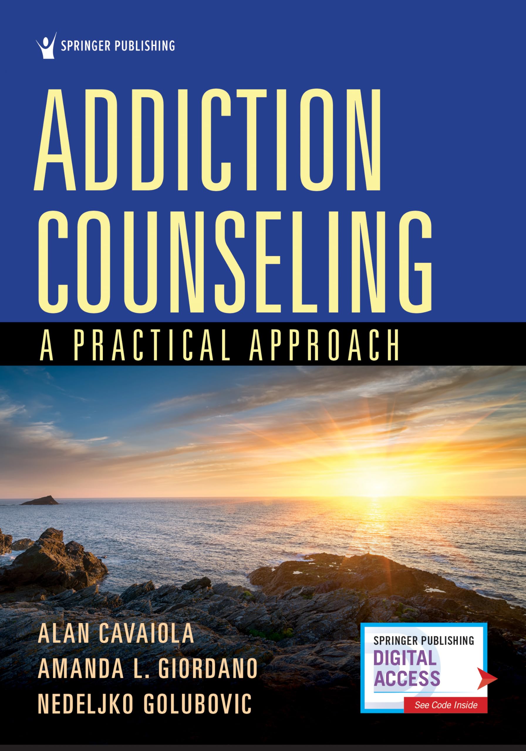 Cover of Addiction Counseling: A Practical Approach