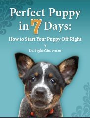 Cover of Perfect Puppy in 7 Days: How to Start Your Puppy Off Right