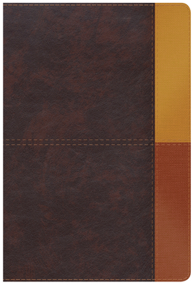 Cover of Rvr 1960 Biblia de Estudio Arcoiris, Cocoa/ Terracota S�mil Piel