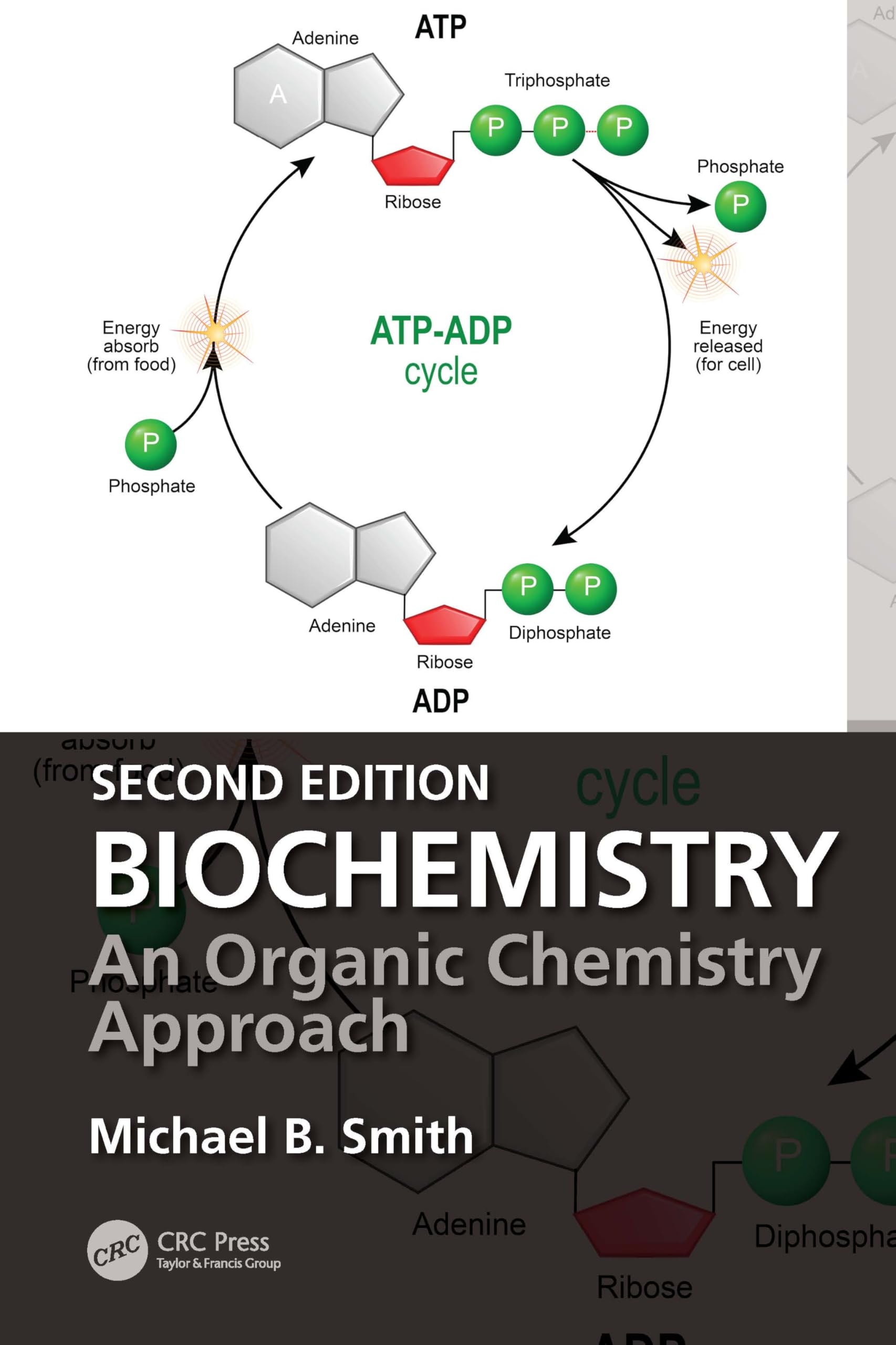 Cover of Biochemistry: An Organic Chemistry Approach