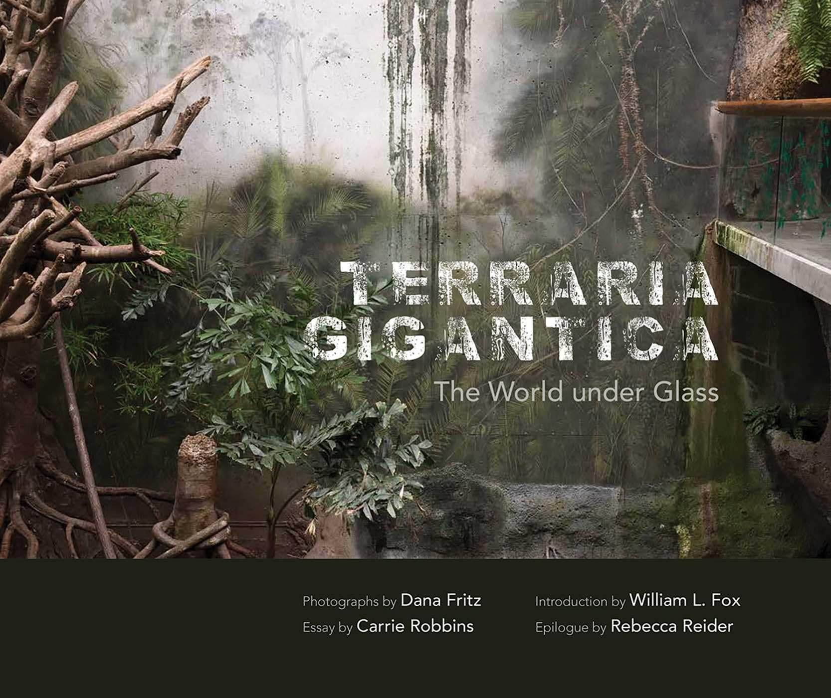 Cover of Terraria Gigantica: The World under Glass