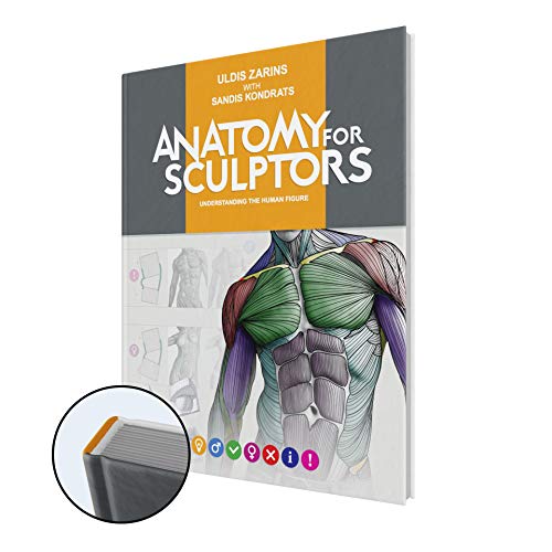 Cover of Anatomy For Sculptors, Understanding the Human Figure