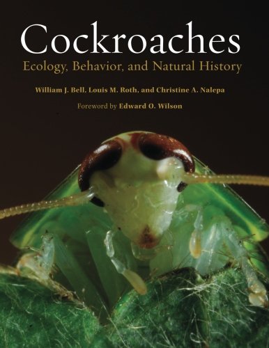 Cover of Cockroaches: Ecology, Behavior, and Natural History