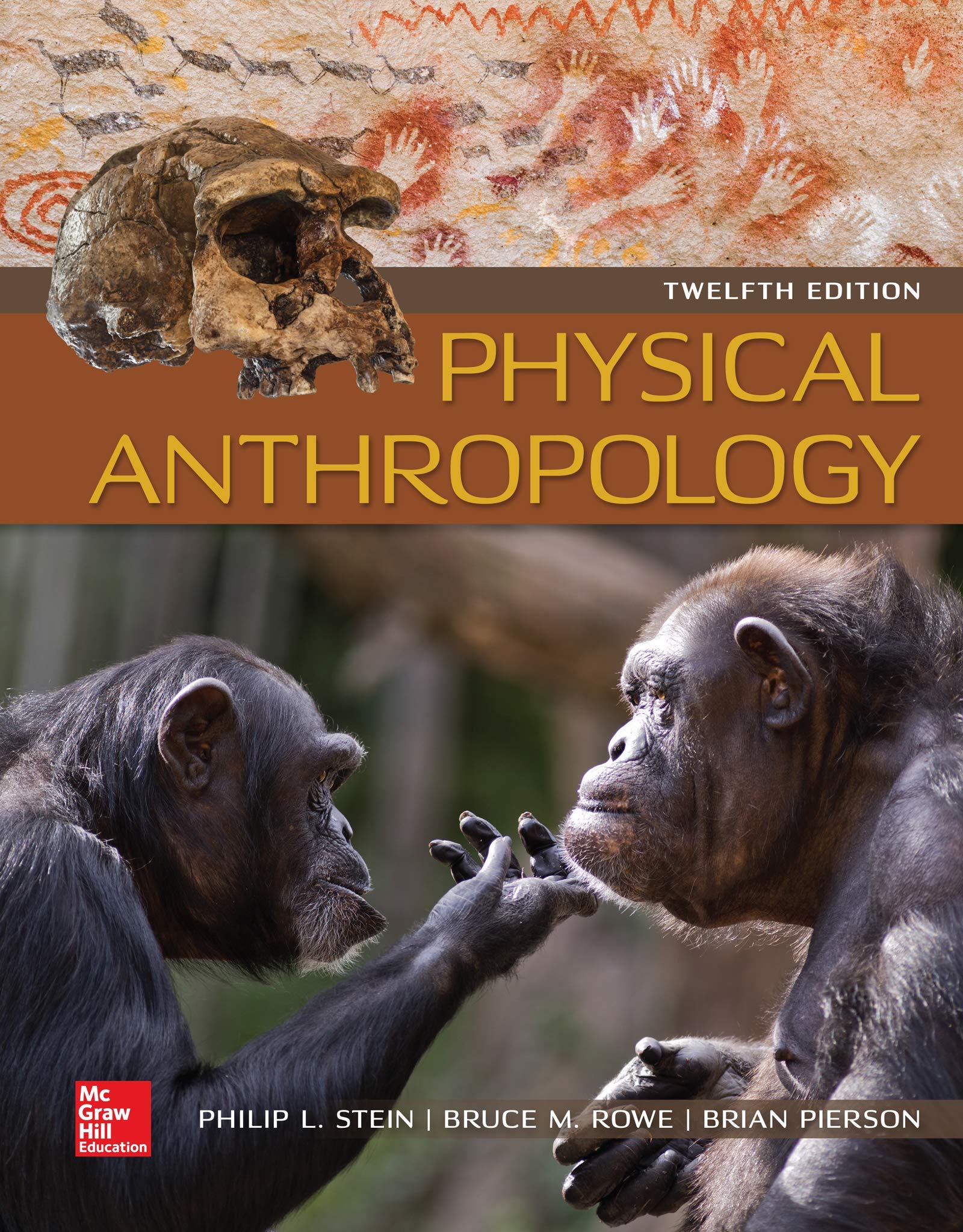 Cover of Physical Anthropology