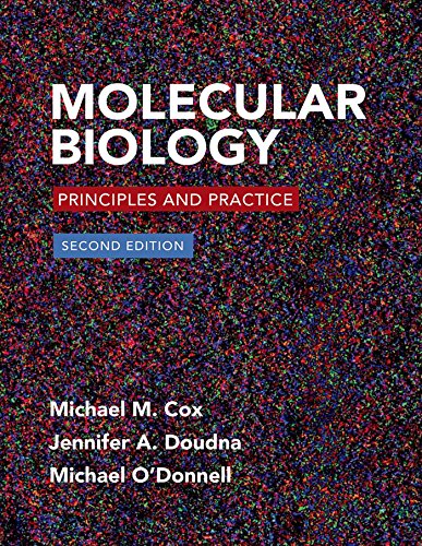 Cover of Molecular Biology: Principles and Practice