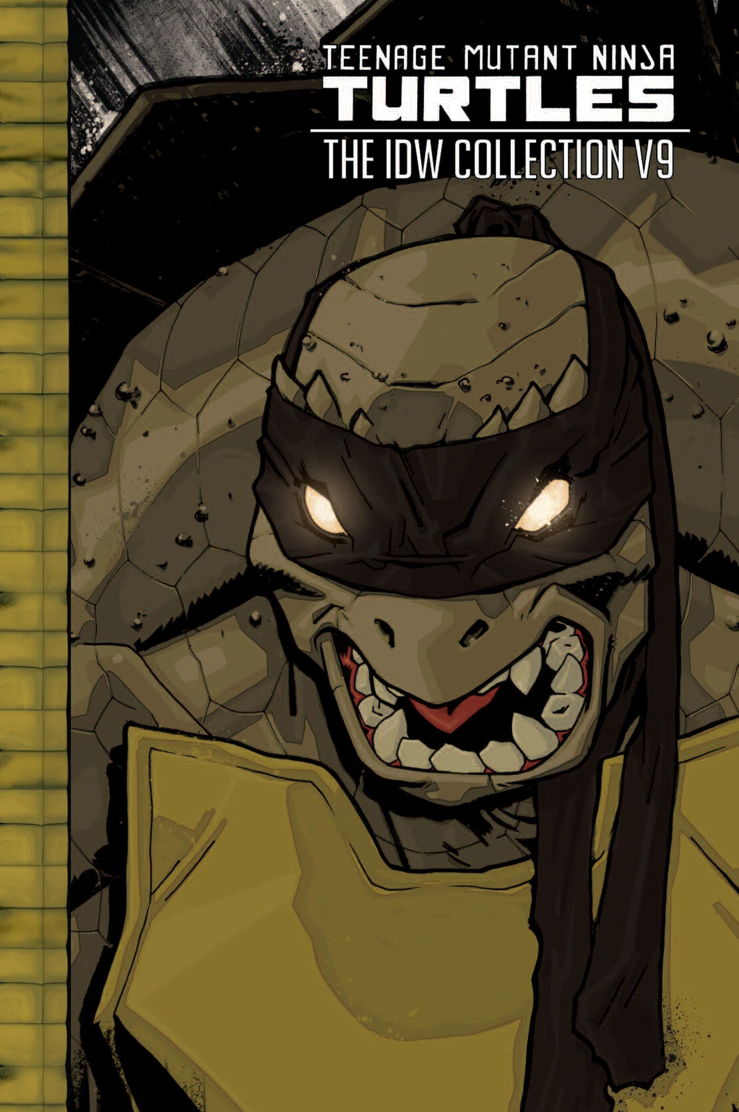 Cover of Teenage Mutant Ninja Turtles: the IDW Collection Volume 9