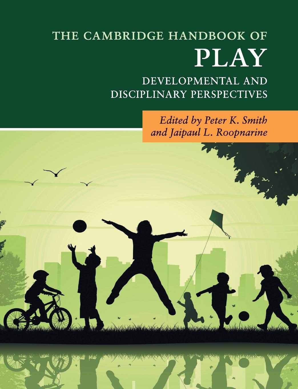 Cover of The Cambridge Handbook of Play: Developmental and Disciplinary Perspectives (Cambridge Handbooks in Psychology)