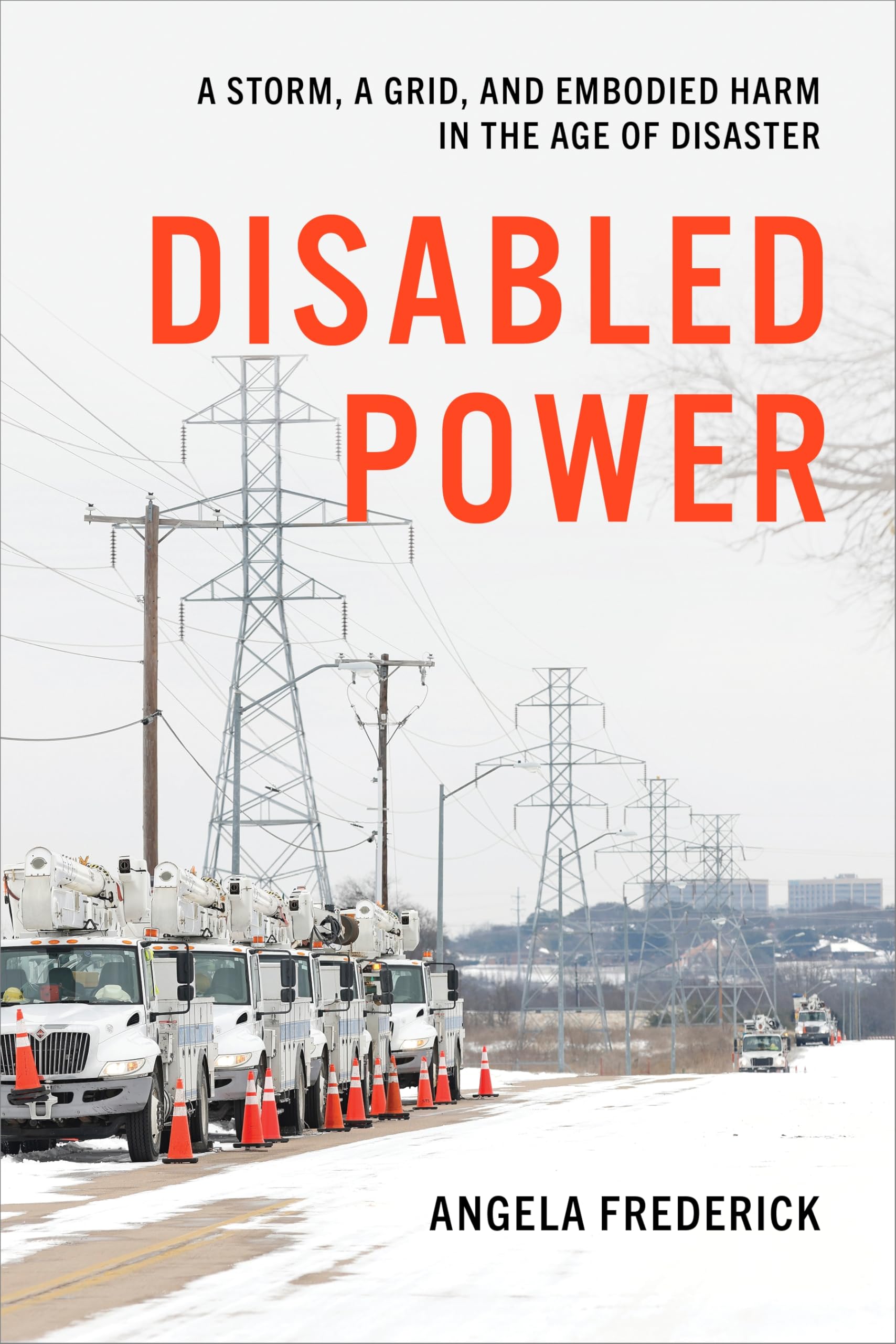 Cover of Disabled Power: A Storm, A Grid, and Embodied Harm in the Age of Disaster (Health, Society, and Inequality)
