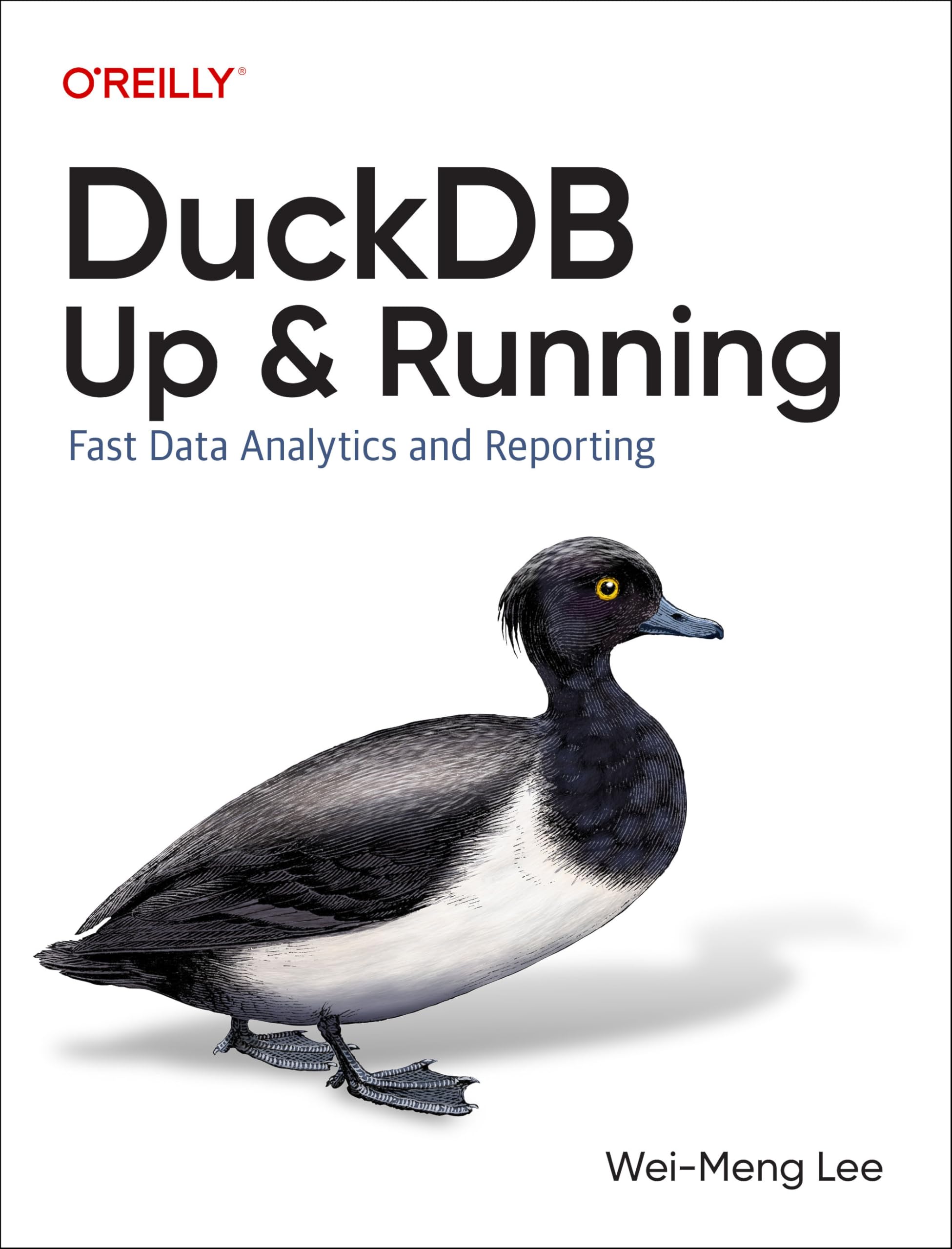 Cover of DuckDB: Up and Running: Fast Data Analytics and Reporting