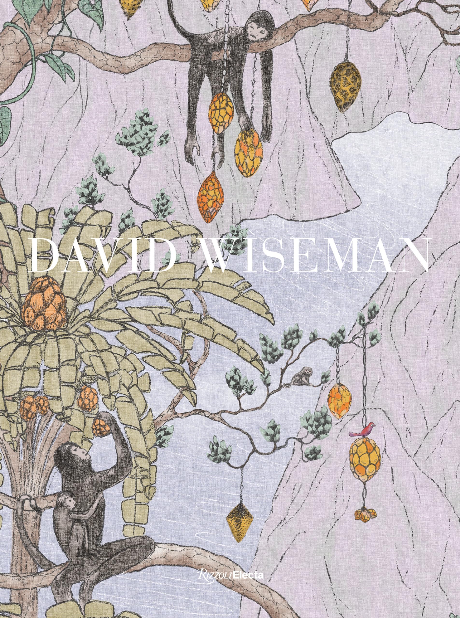 Cover of David Wiseman