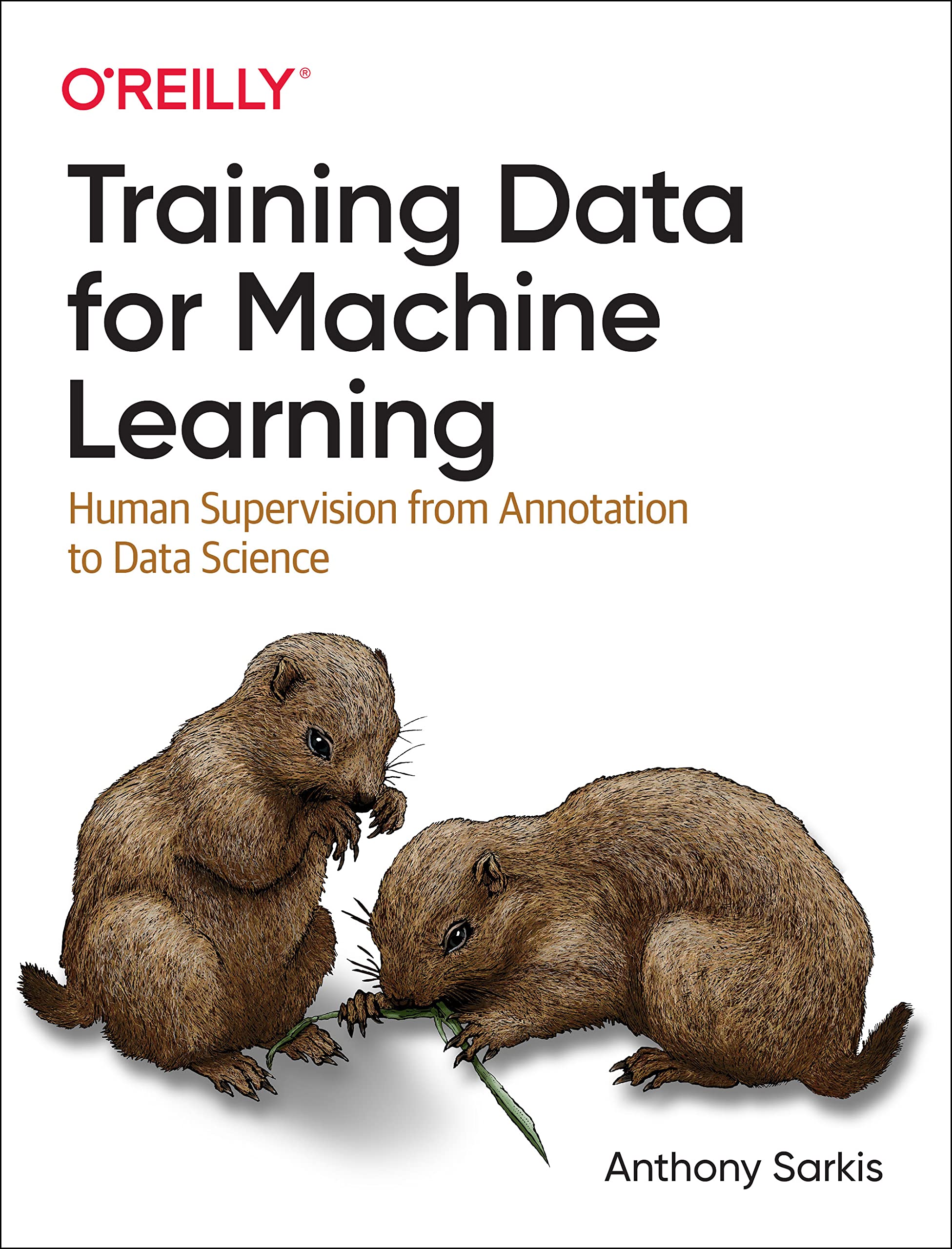 Cover of Training Data for Machine Learning: Human Supervision from Annotation to Data Science