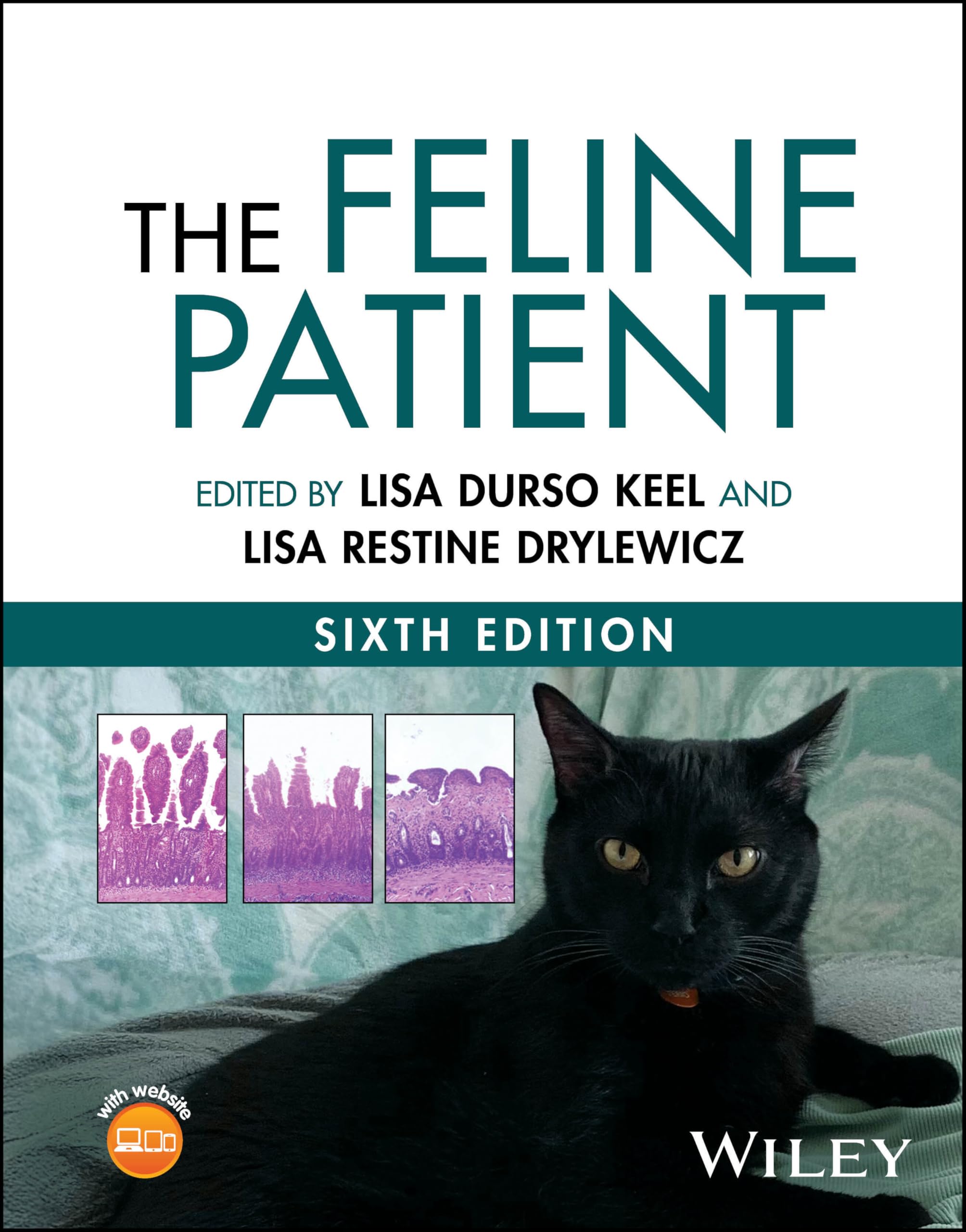 Cover of The Feline Patient