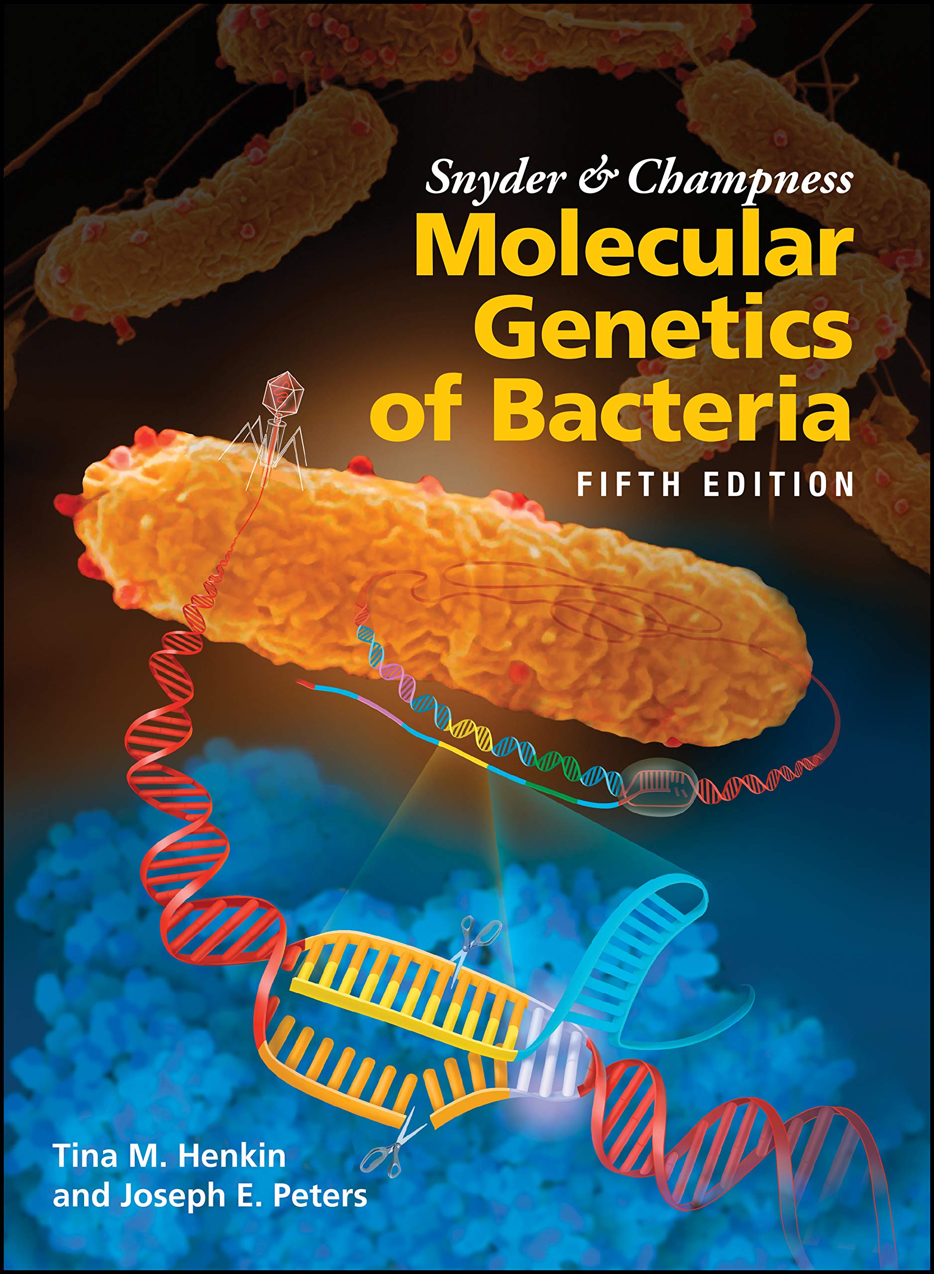 Cover of Snyder and Champness Molecular Genetics of Bacteria