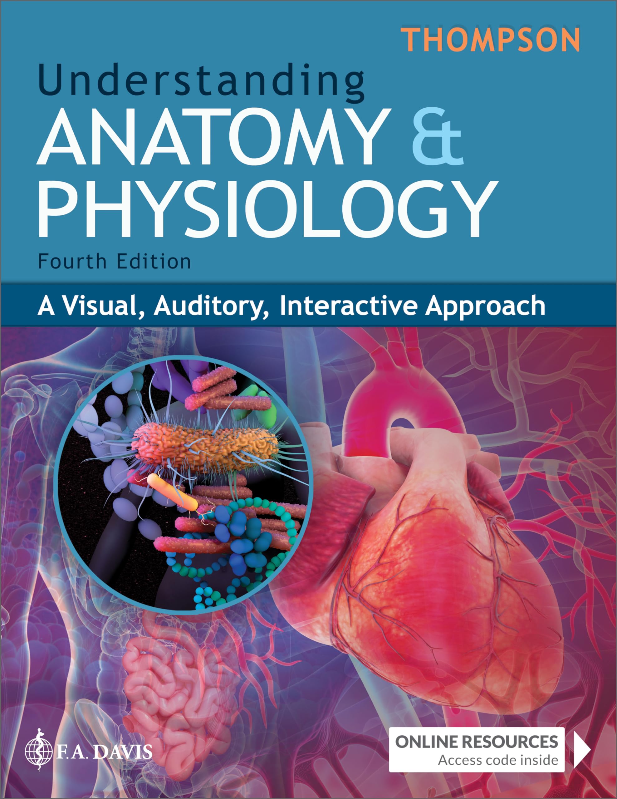 Cover of Understanding Anatomy & Physiology: A Visual, Auditory, Interactive Approach