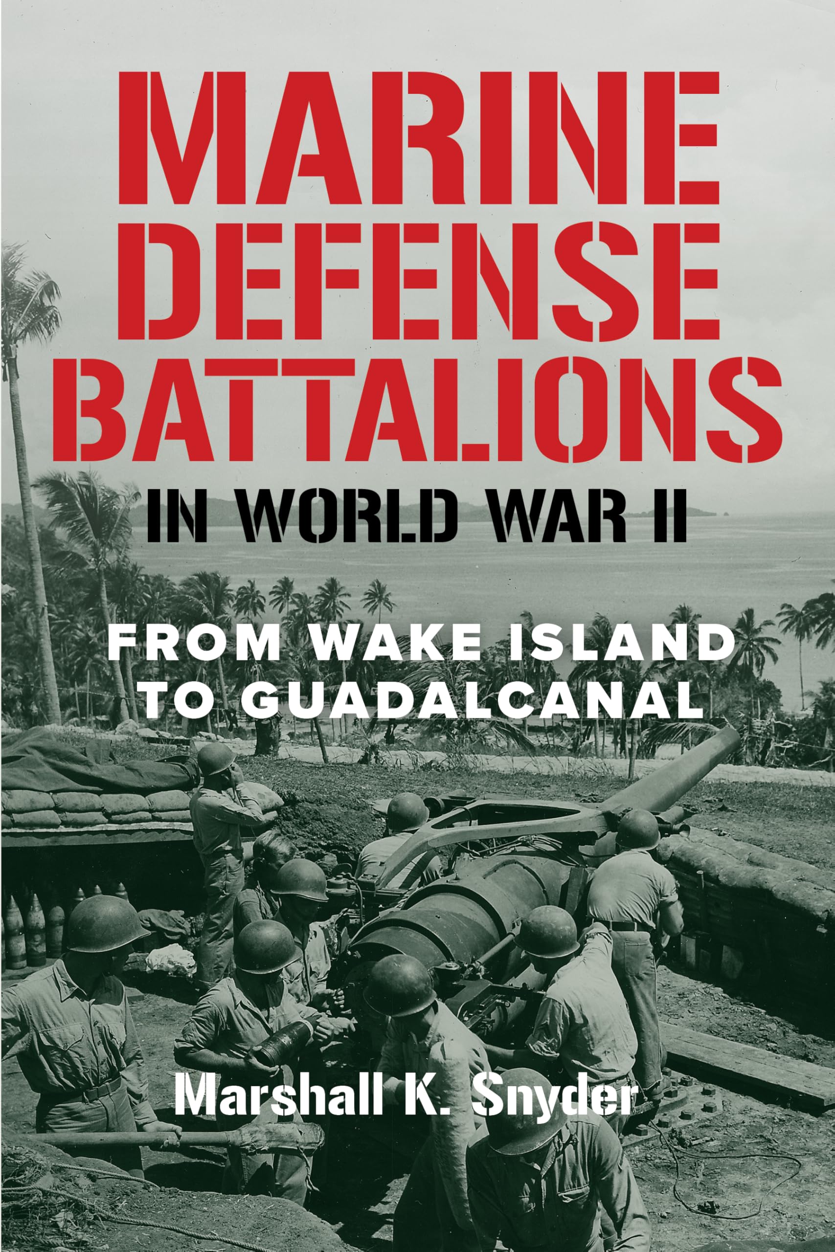 Cover of Marine Defense Battalions in World War II: From Wake Island to Guadalcanal (Studies in Marine Corps History and Amphibious Warfare)