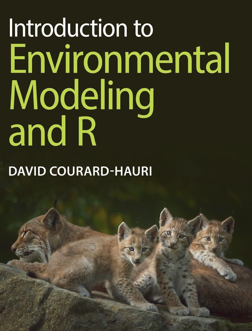 Cover of Introduction to Environmental Modeling and R