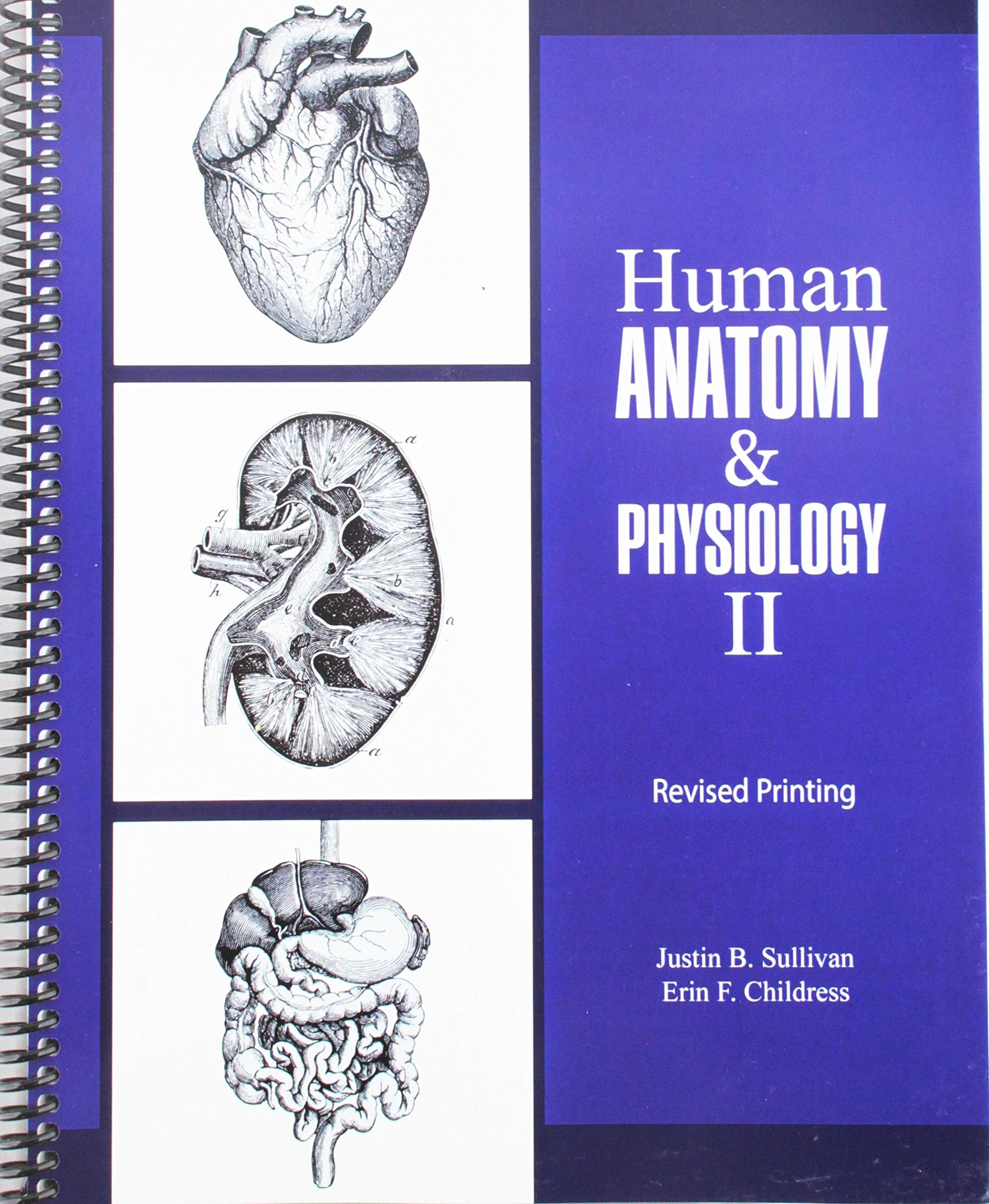 Cover of Human Anatomy and Physiology II