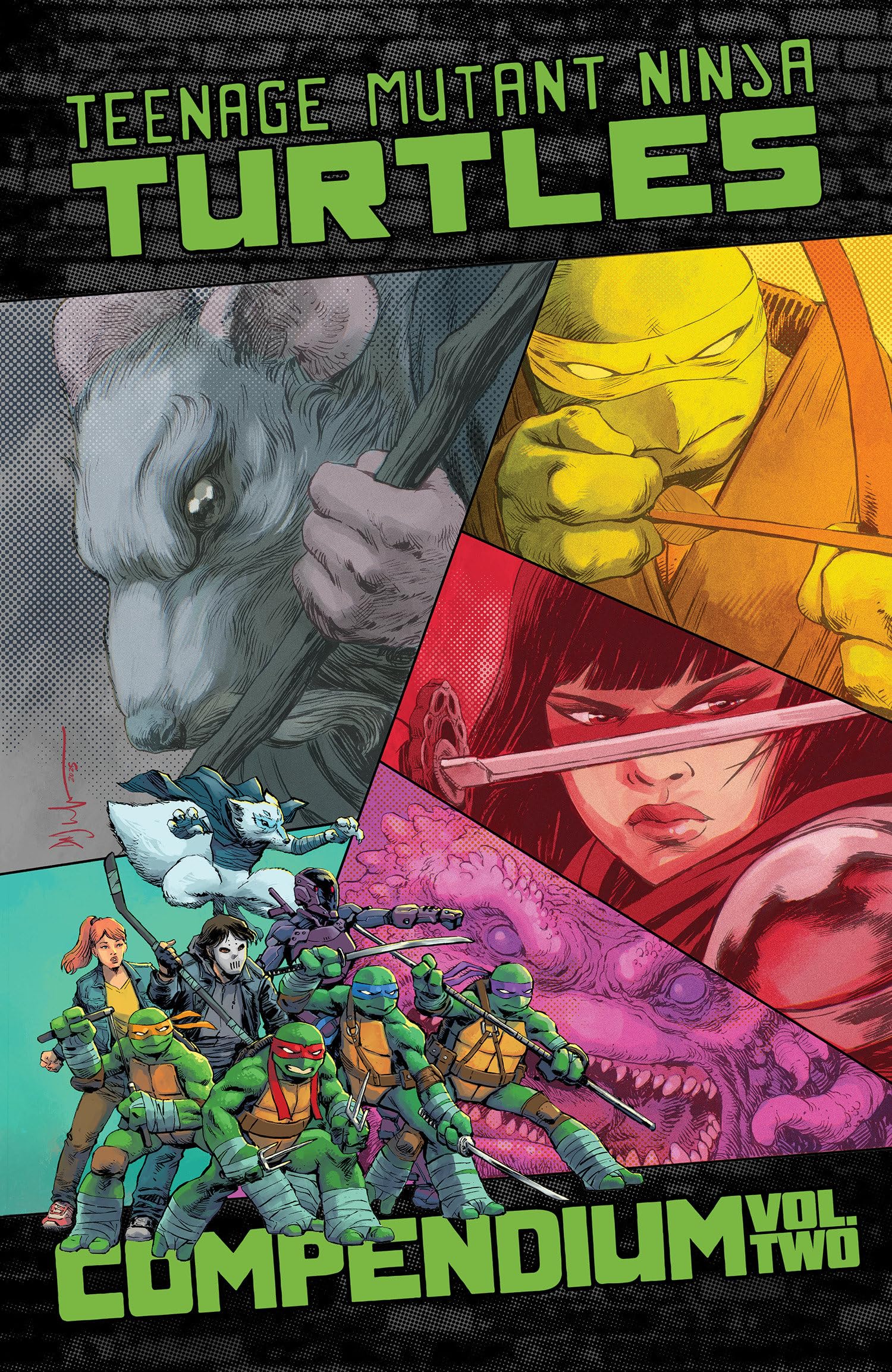 Cover of Teenage Mutant Ninja Turtles: Ongoing Compendium, Vol. 2