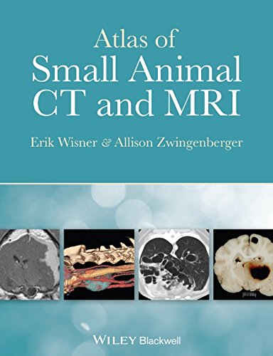 Cover of Atlas of Small Animal CT and MRI