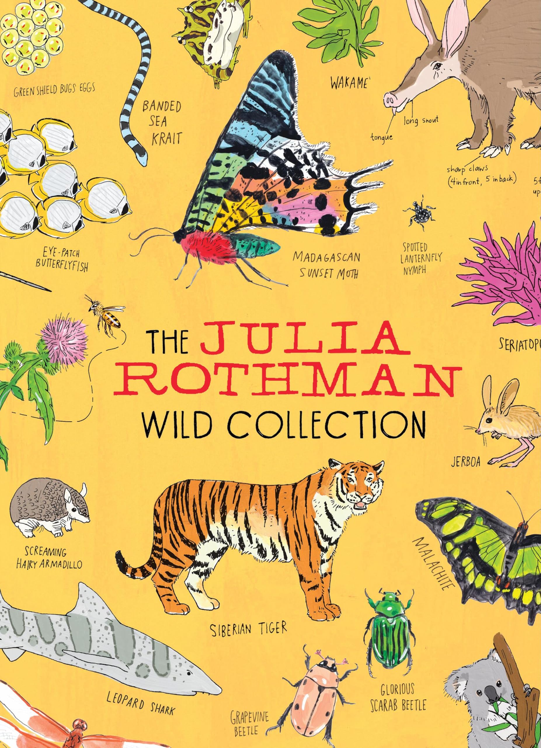 Cover of The Julia Rothman Wild Collection: Ocean Anatomy, Wildlife Anatomy, Insect Anatomy