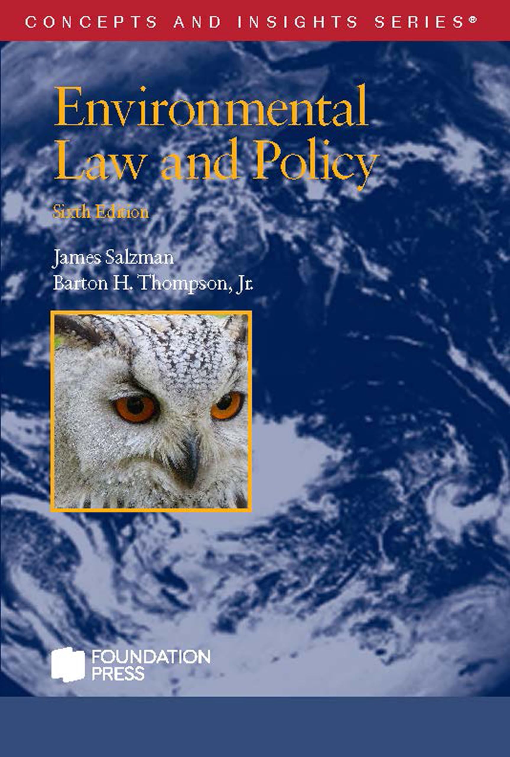 Cover of Environmental Law and Policy (Concepts and Insights)