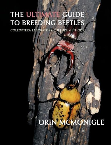Cover of The Ultimate Guide to Breeding Beetles: Coleoptera Laboratory Culture Methods