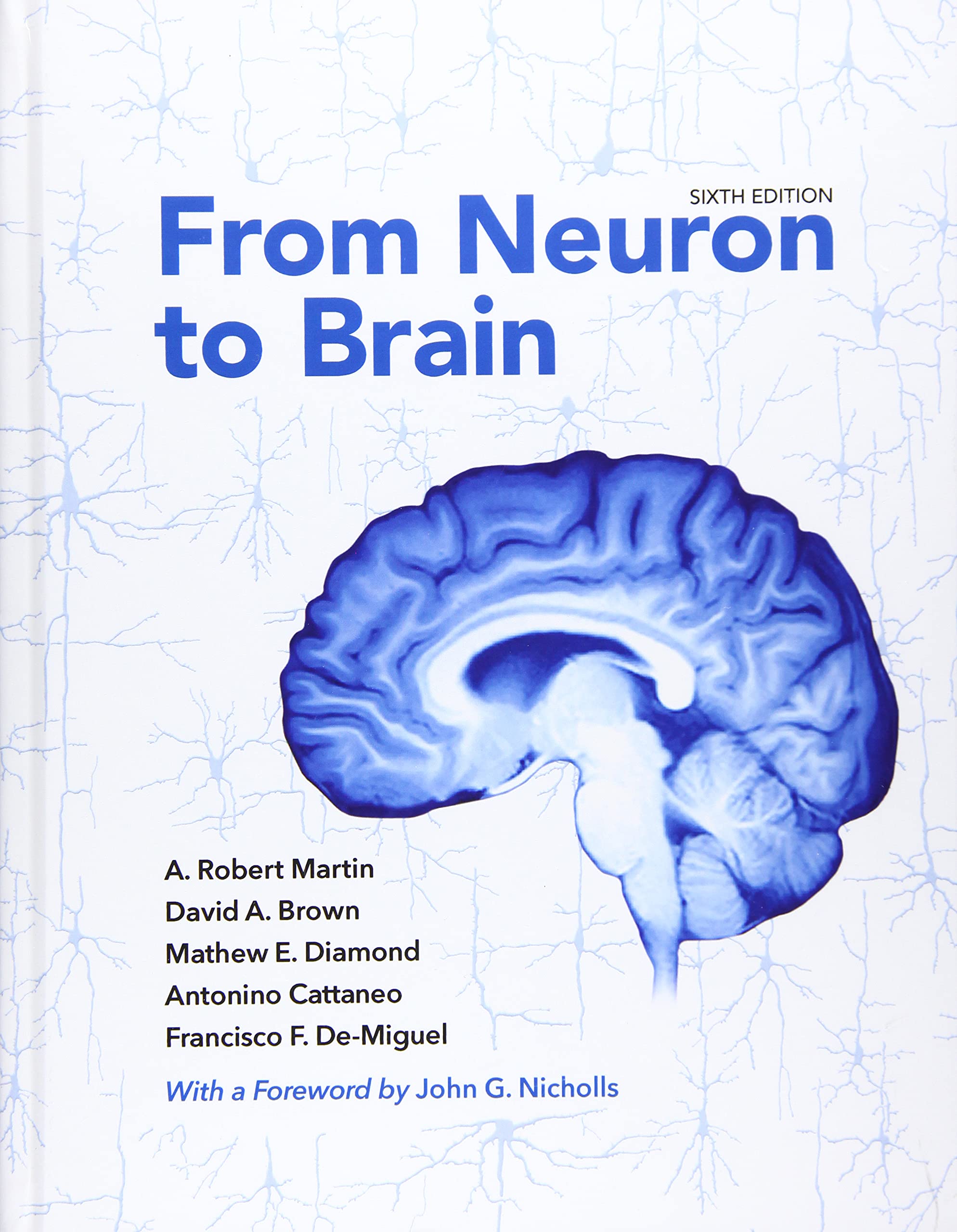 Cover of From Neuron to Brain