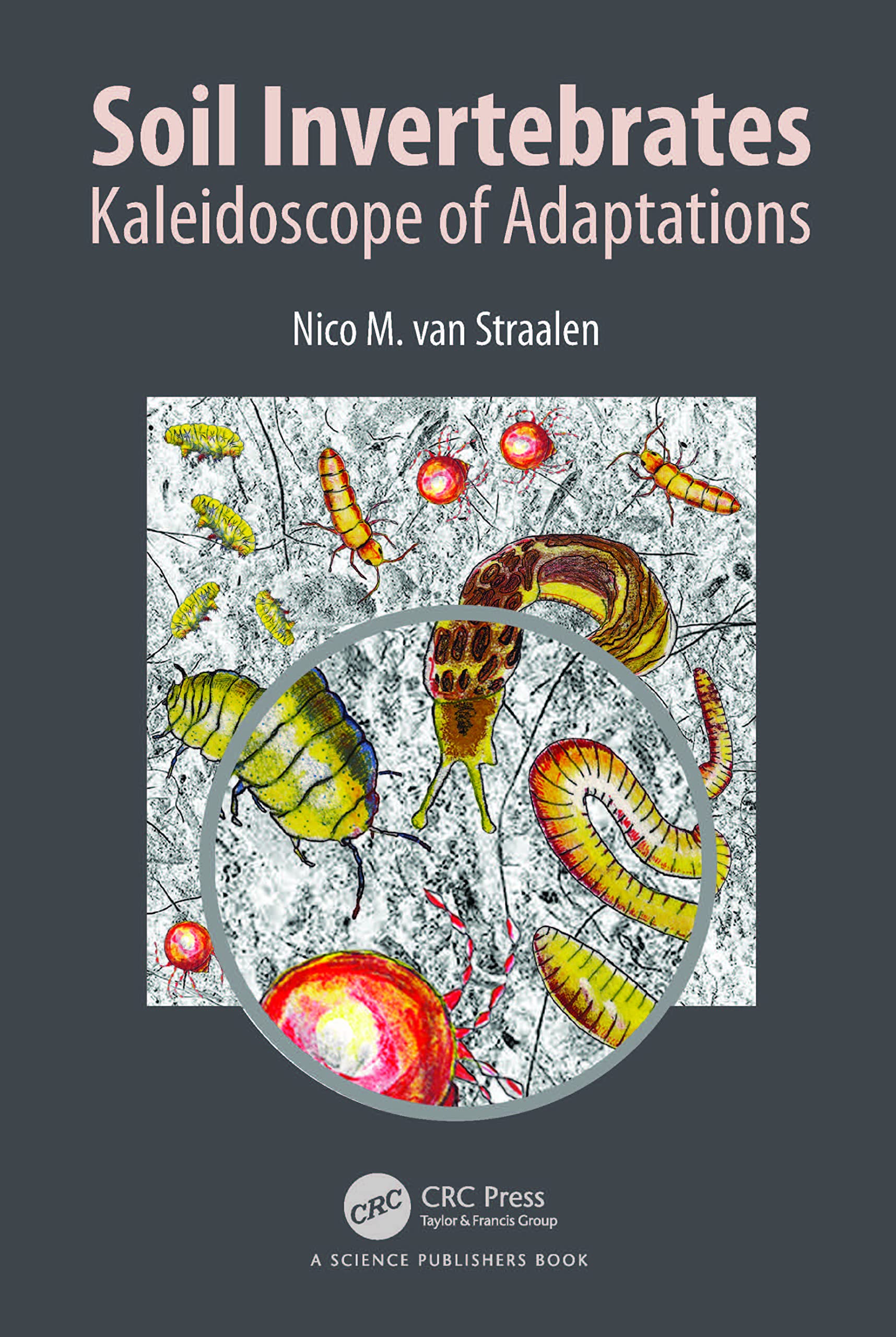 Cover of Soil Invertebrates: Kaleidoscope of Adaptations
