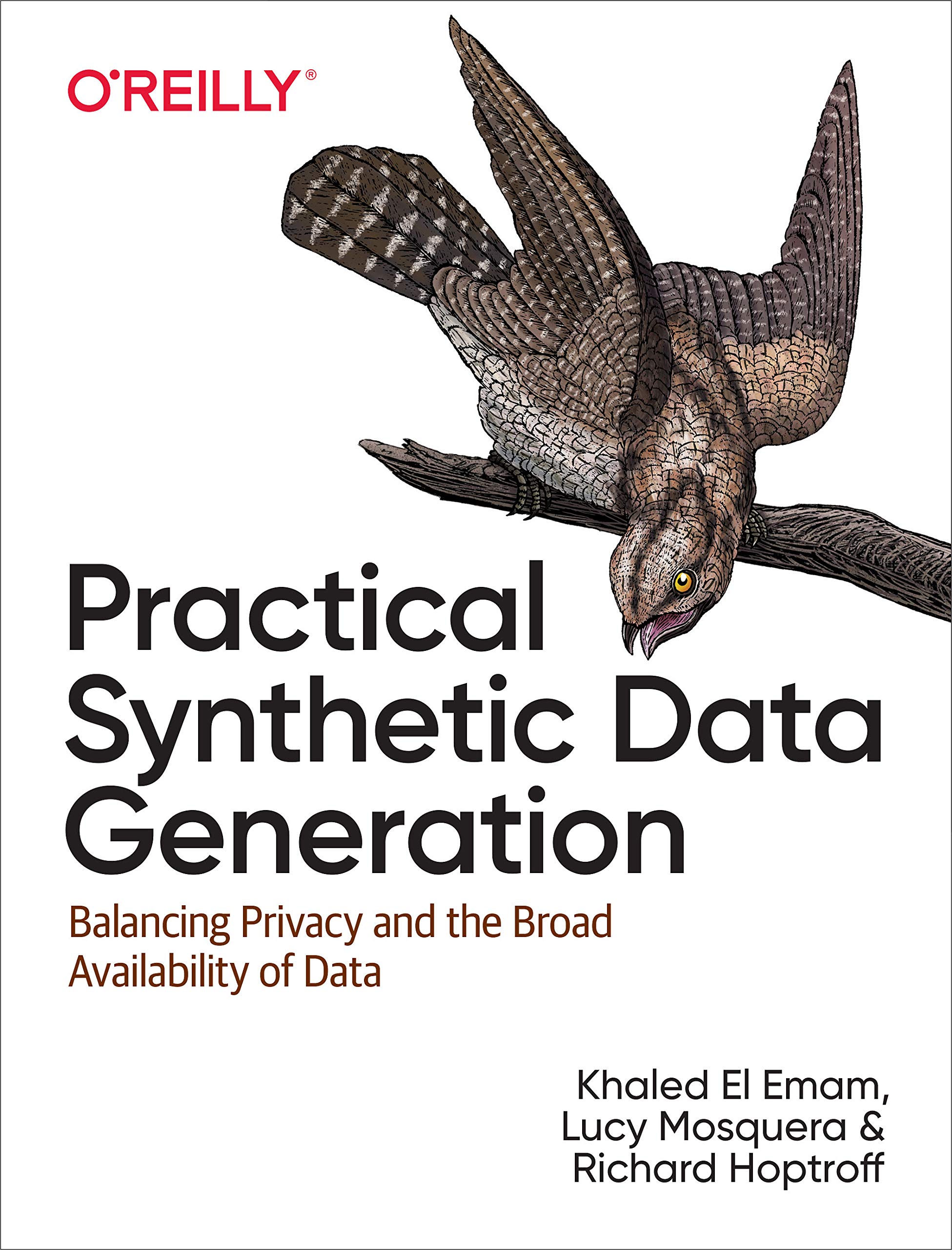 Cover of Practical Synthetic Data Generation: Balancing Privacy and the Broad Availability of Data