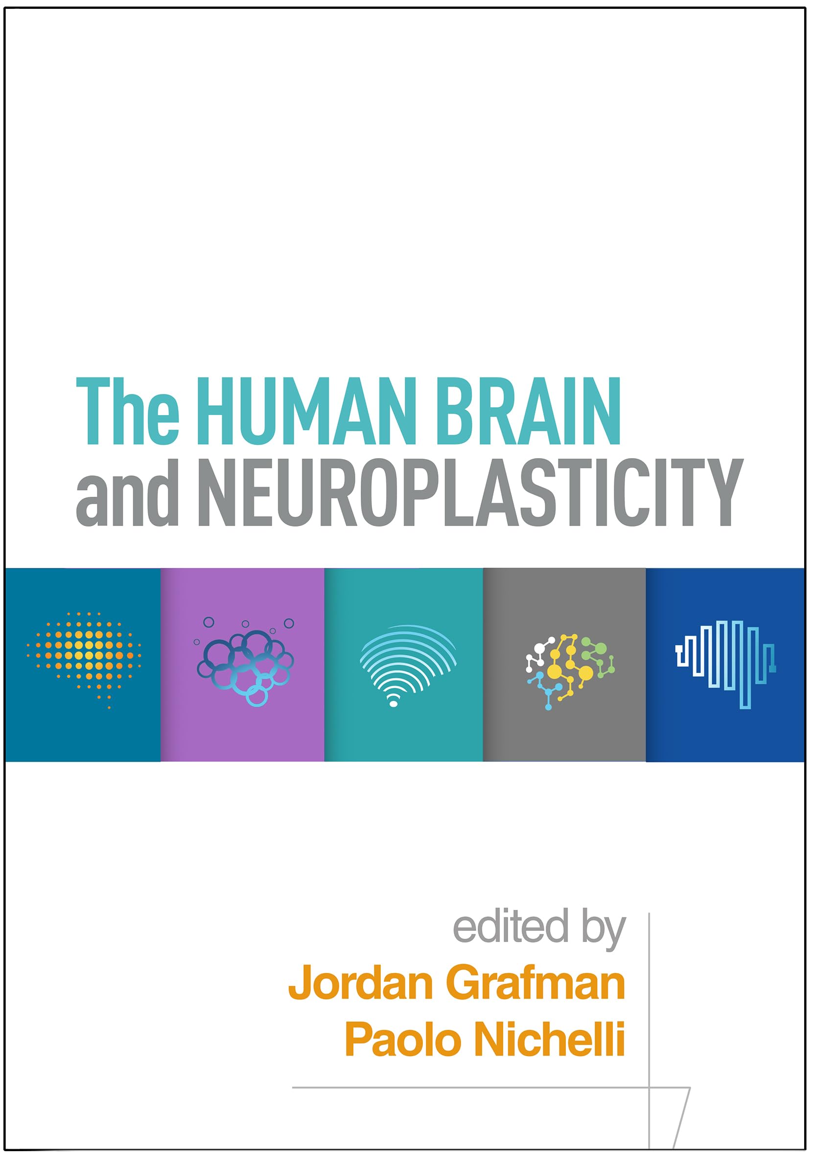 Cover of The Human Brain and Neuroplasticity