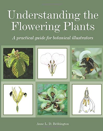Cover of Understanding the Flowering Plants: A Practical Guide for Botanical Illustrators