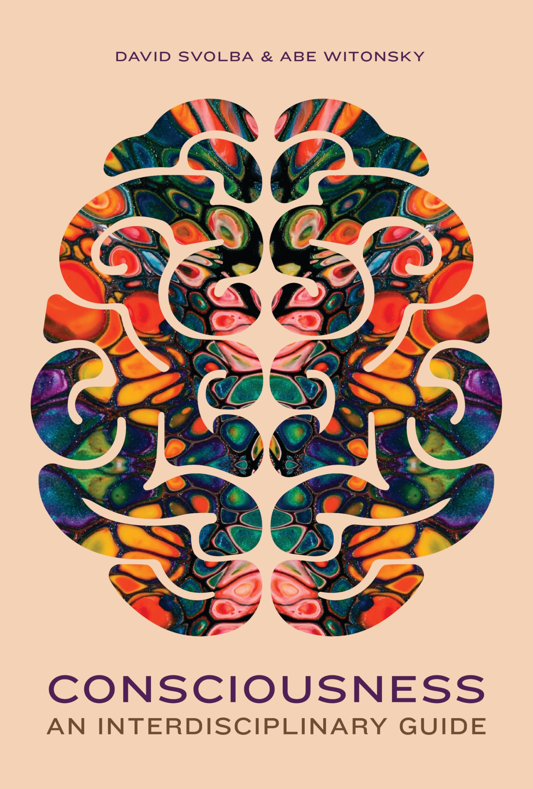 Cover of Consciousness: An Interdisciplinary Guide
