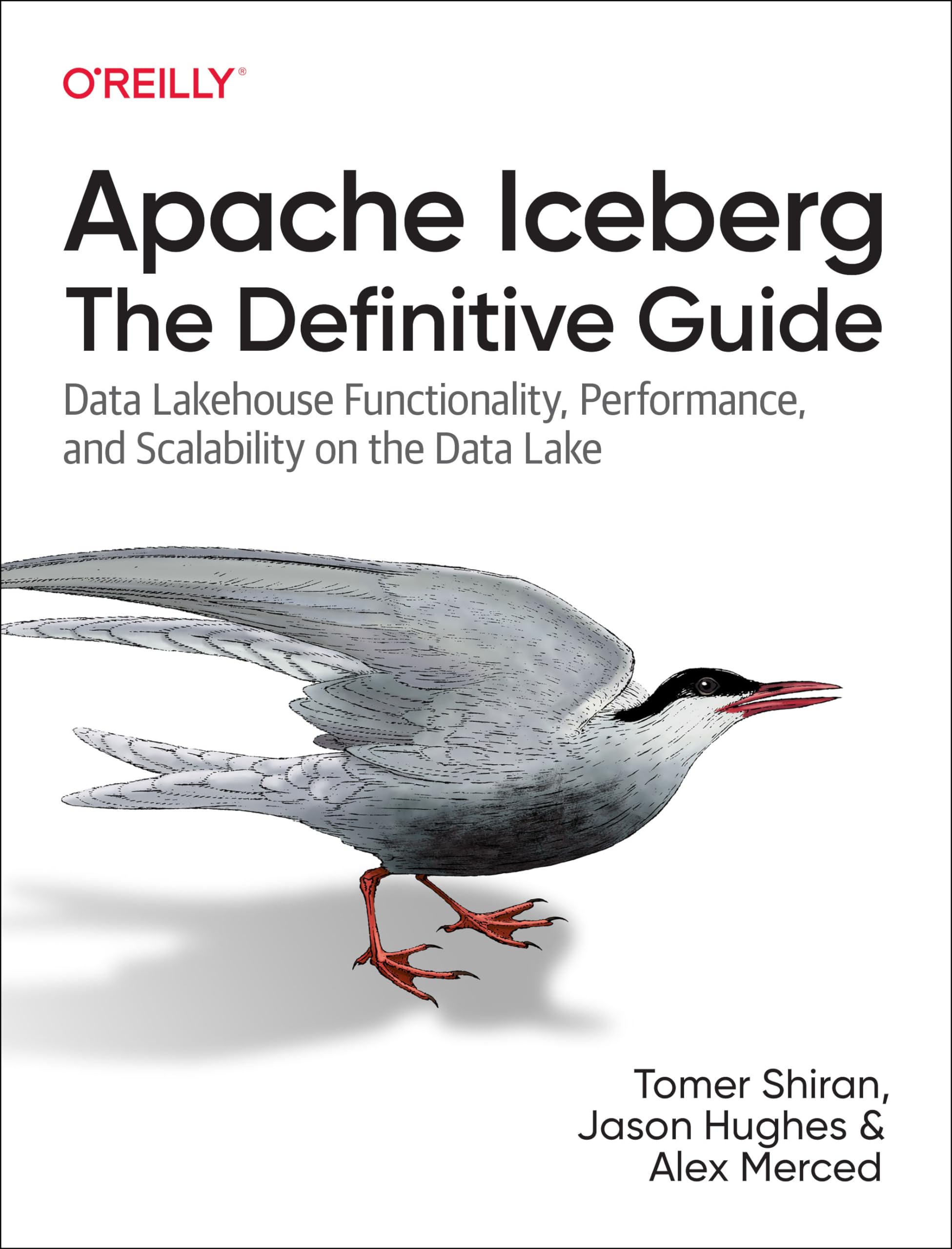 Cover of Apache Iceberg: The Definitive Guide: Data Lakehouse Functionality, Performance, and Scalability on the Data Lake