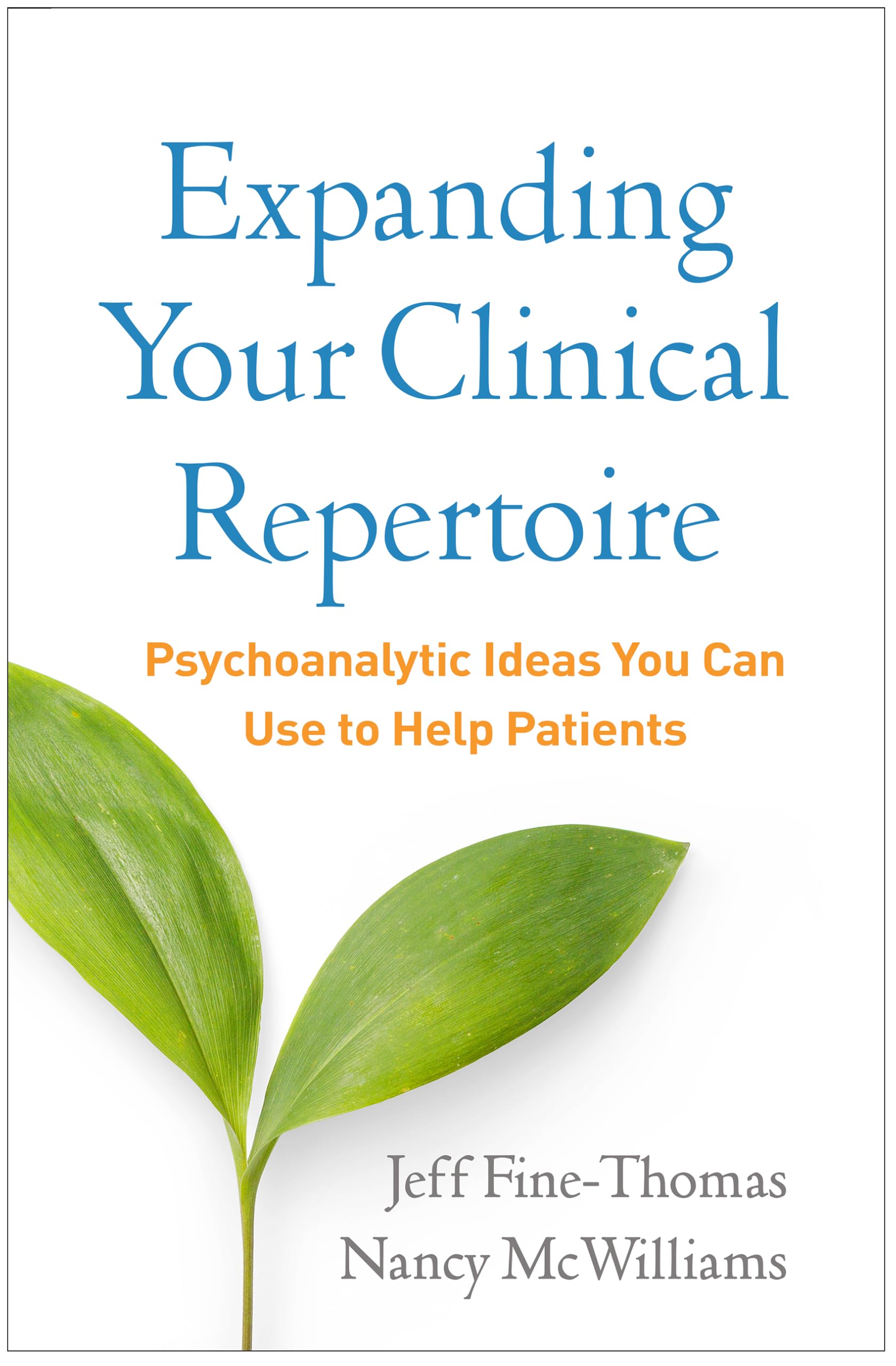 Cover of Expanding Your Clinical Repertoire: Psychoanalytic Ideas You Can Use to Help Patients