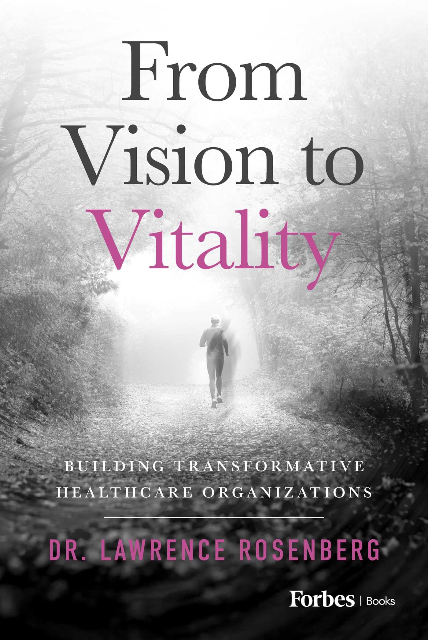 Cover of From Vision to Vitality: Building Transformative Healthcare Organizations