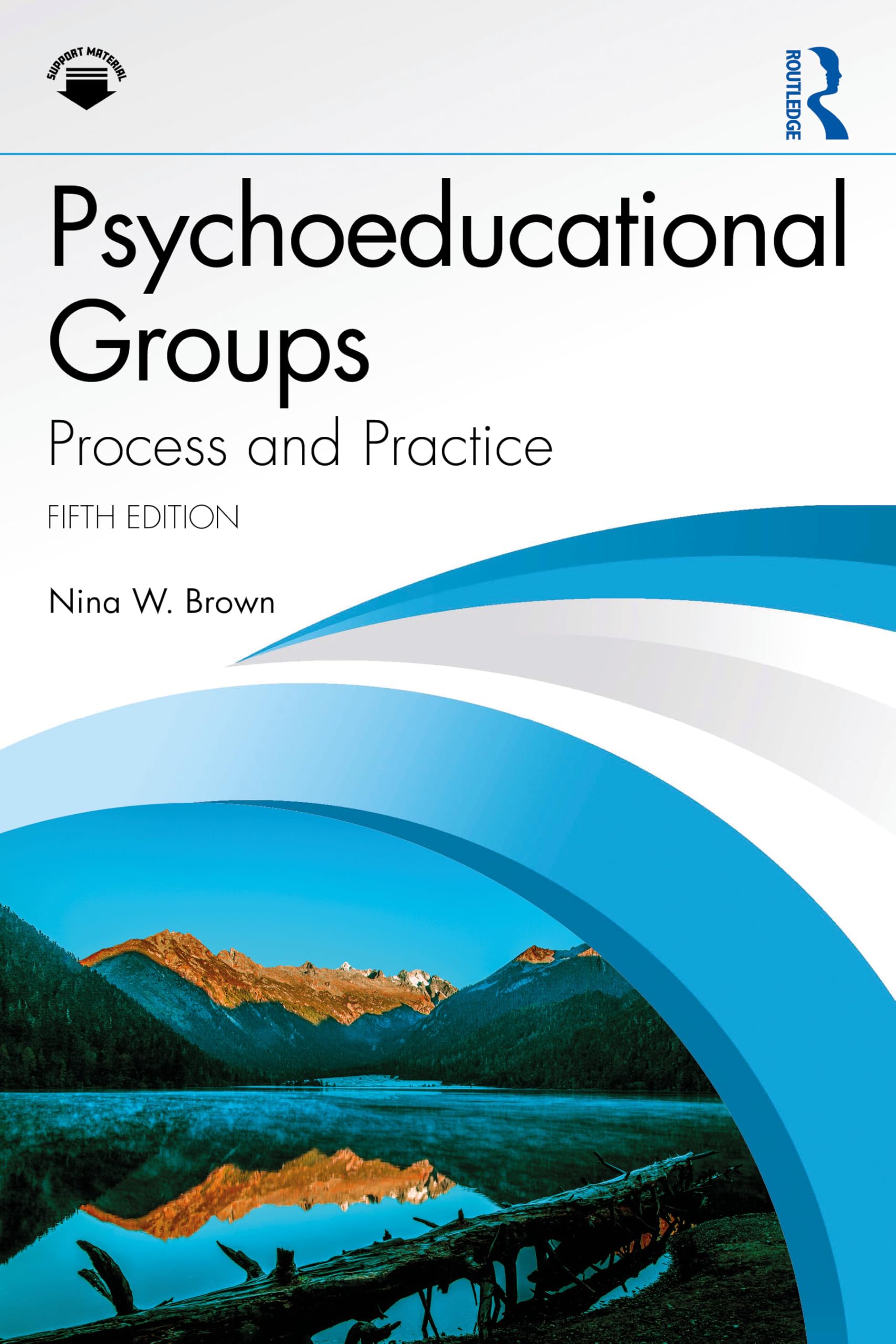 Cover of Psychoeducational Groups: Process and Practice