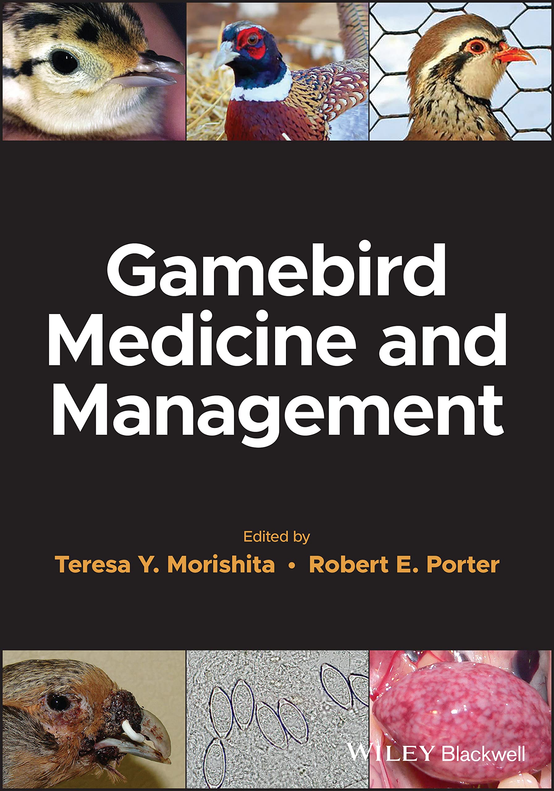 Cover of Gamebird Medicine and Management