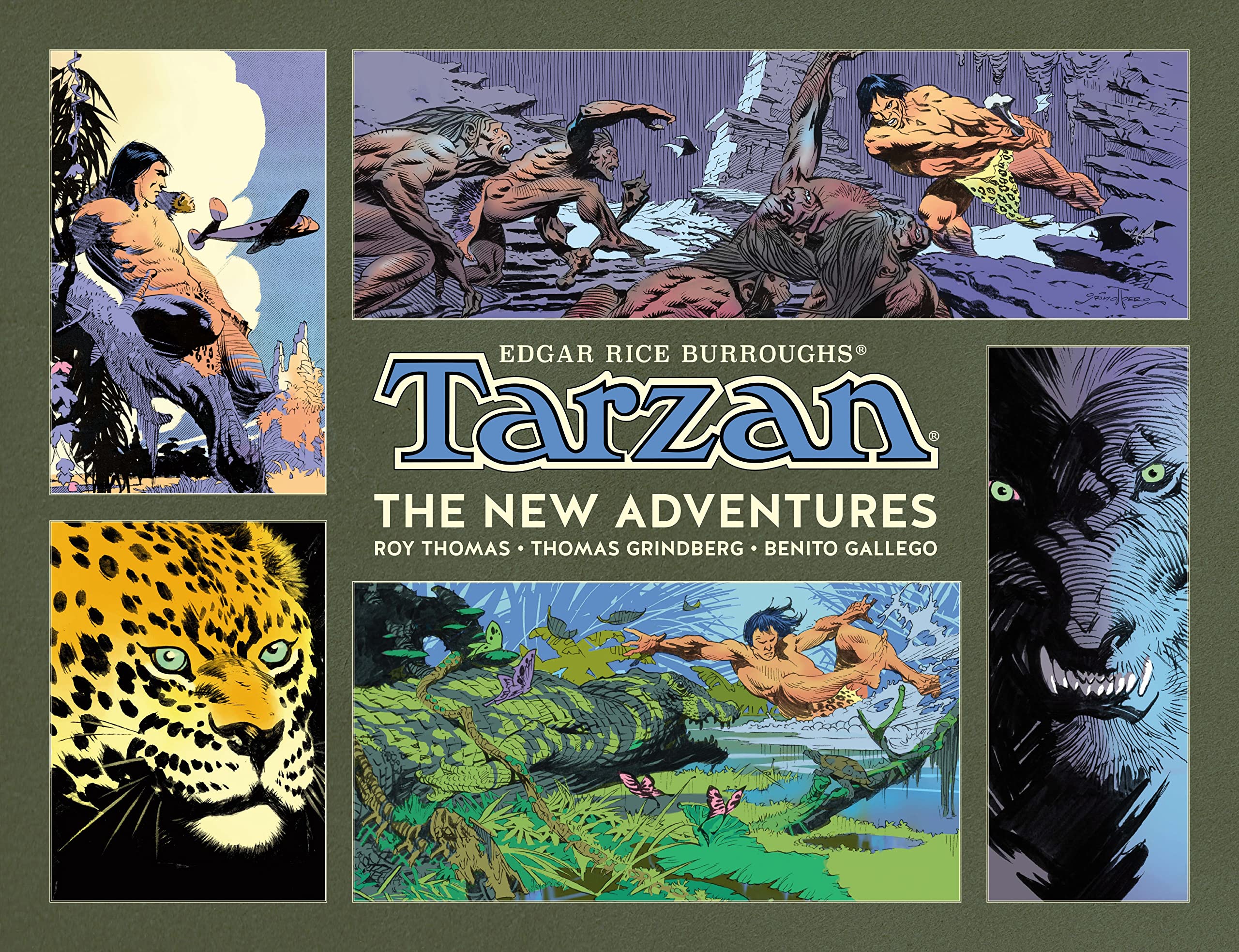 Cover of Tarzan: The New Adventures