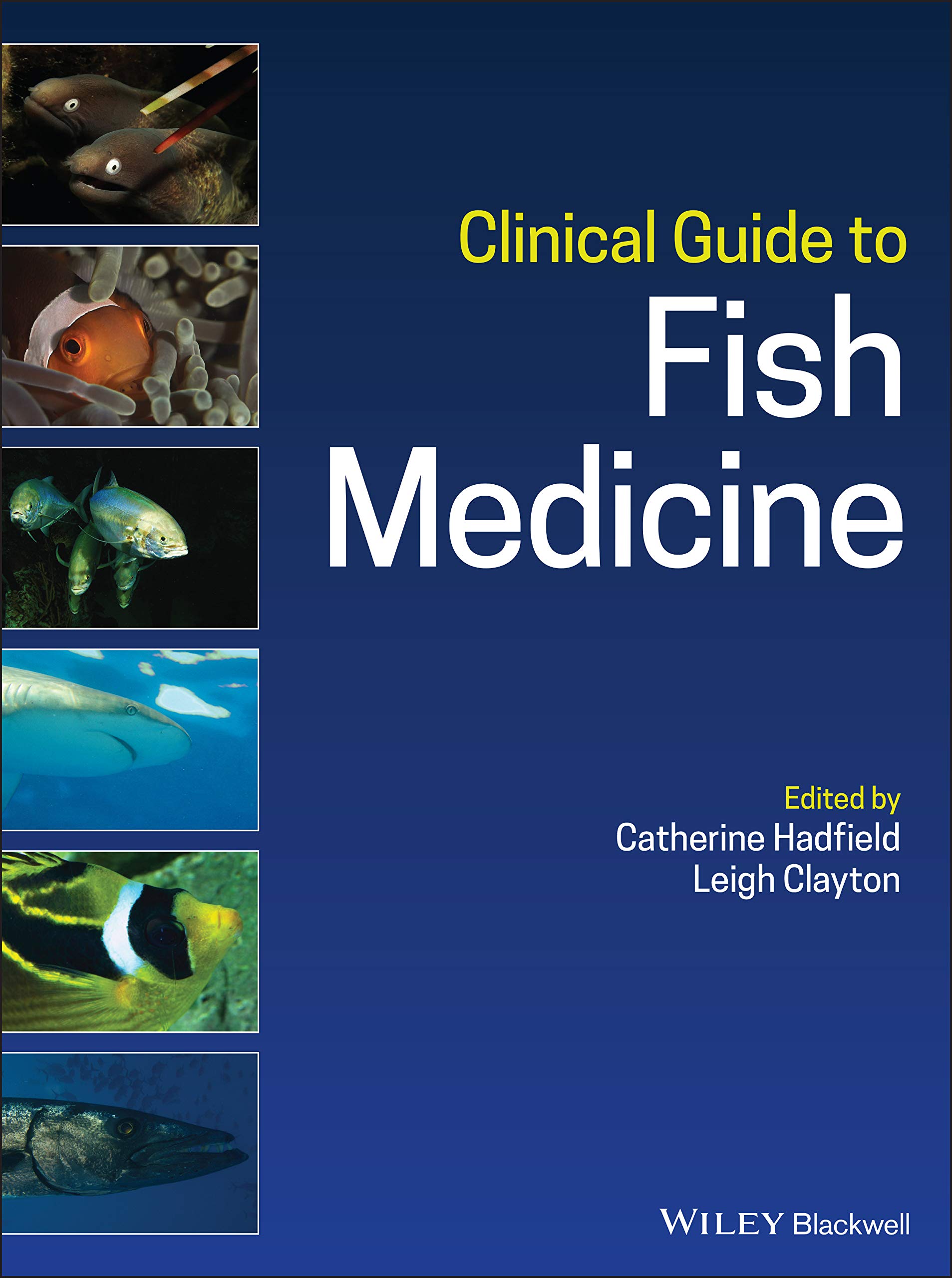 Cover of Clinical Guide to Fish Medicine