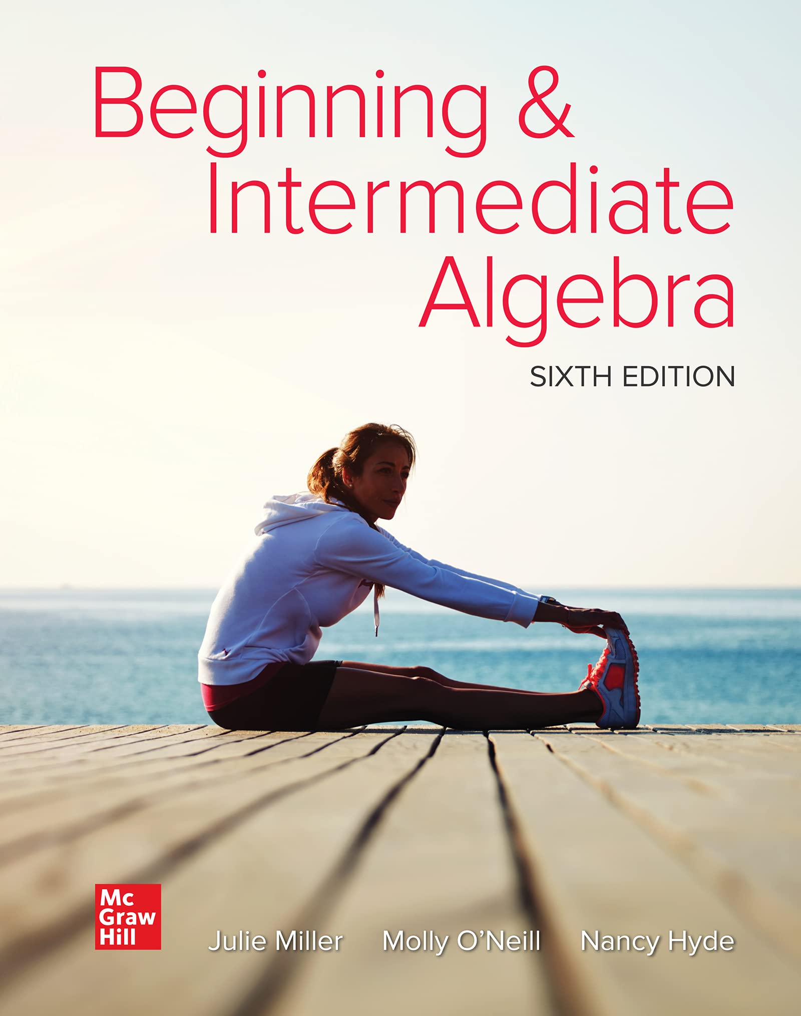 Cover of Loose Leaf for Beginning and Intermediate Algebra
