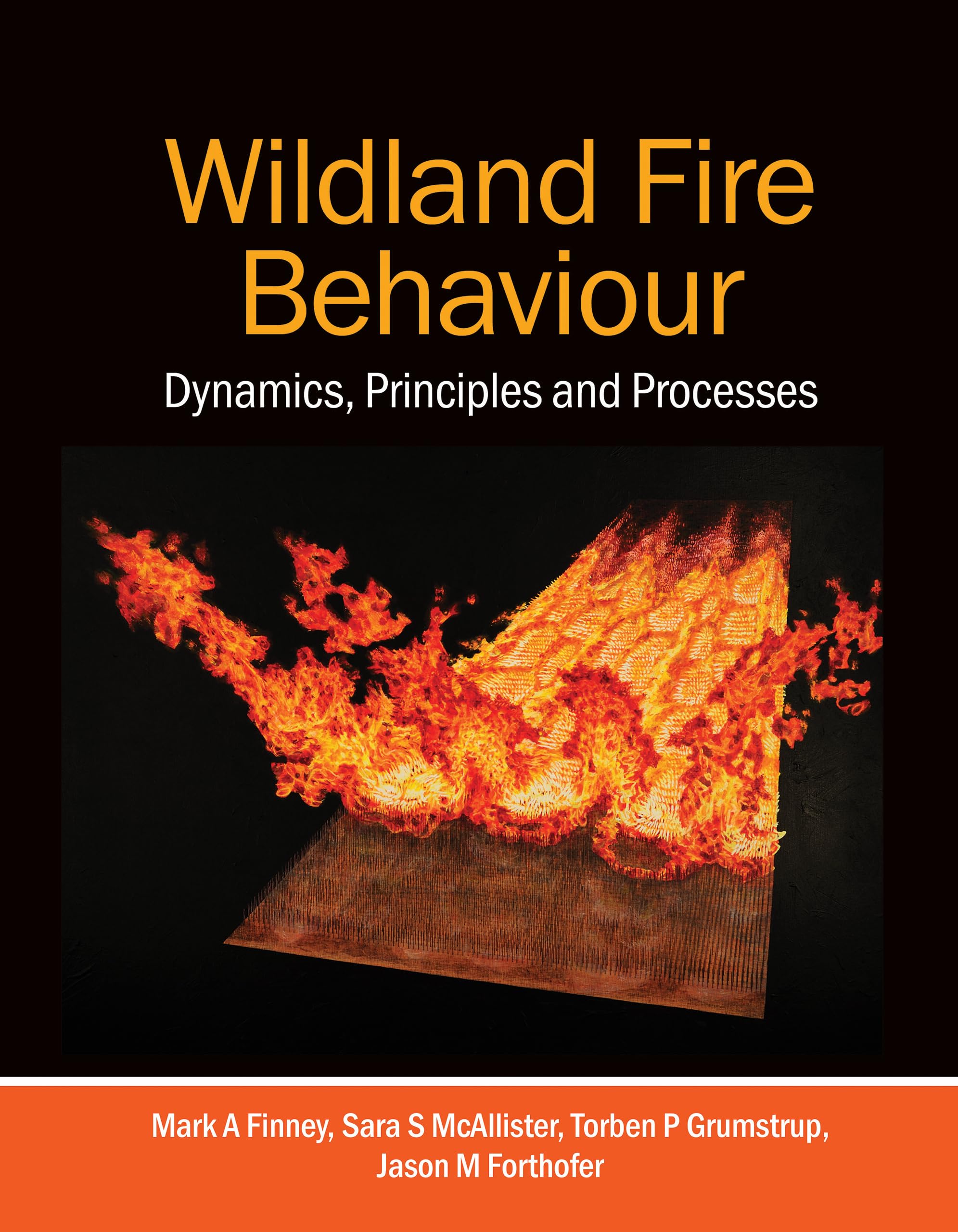 Cover of Wildland Fire Behaviour: Dynamics, Principles and Processes