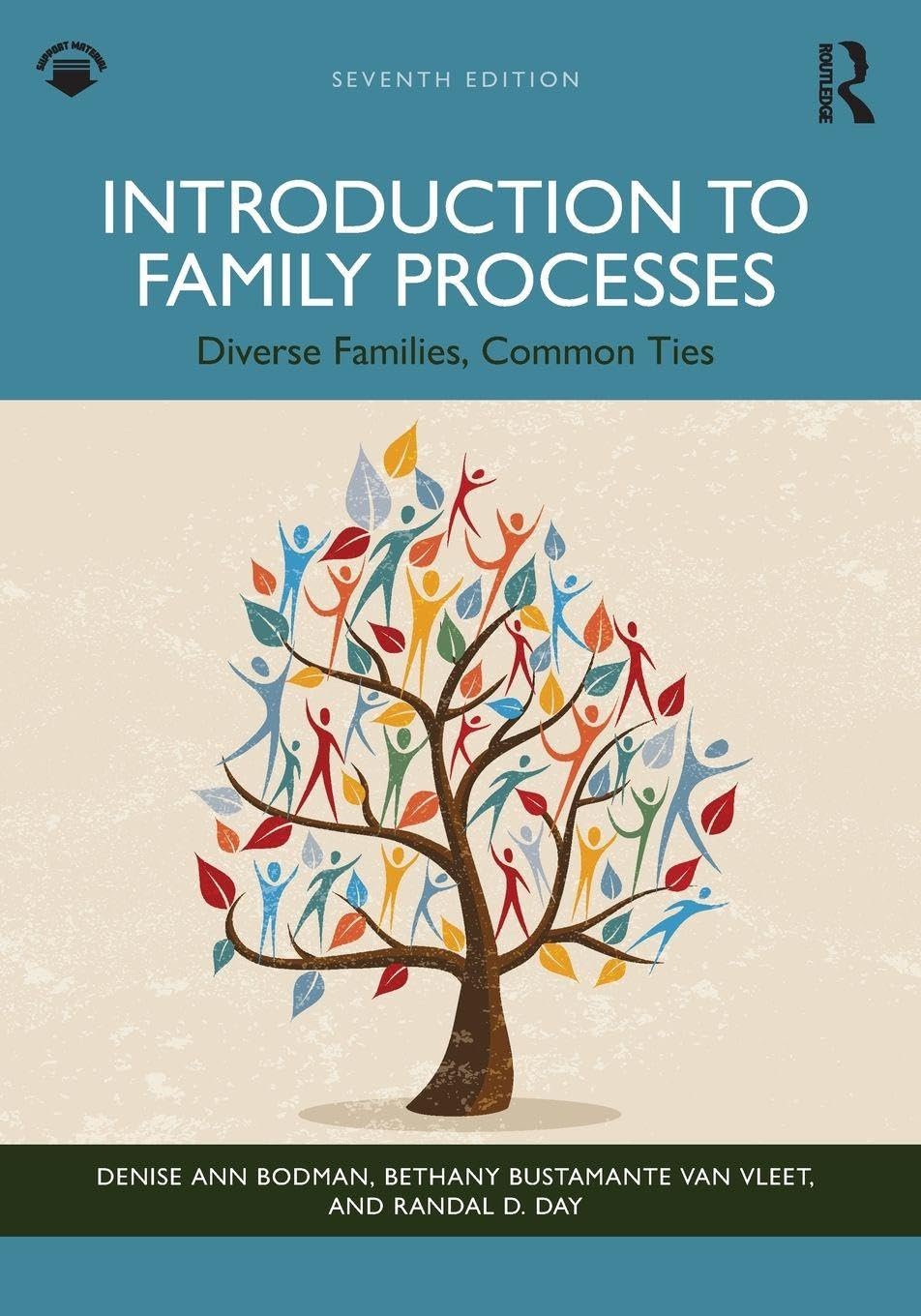Cover of Introduction to Family Processes: Diverse Families, Common Ties