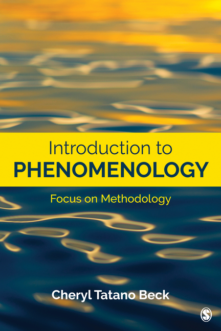 Cover of Introduction to Phenomenology: Focus on Methodology