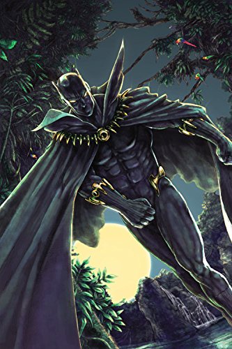 Cover of Black Panther by Christopher Priest: The Complete Collection Vol. 3 (Black Panther: the Complete Collection)