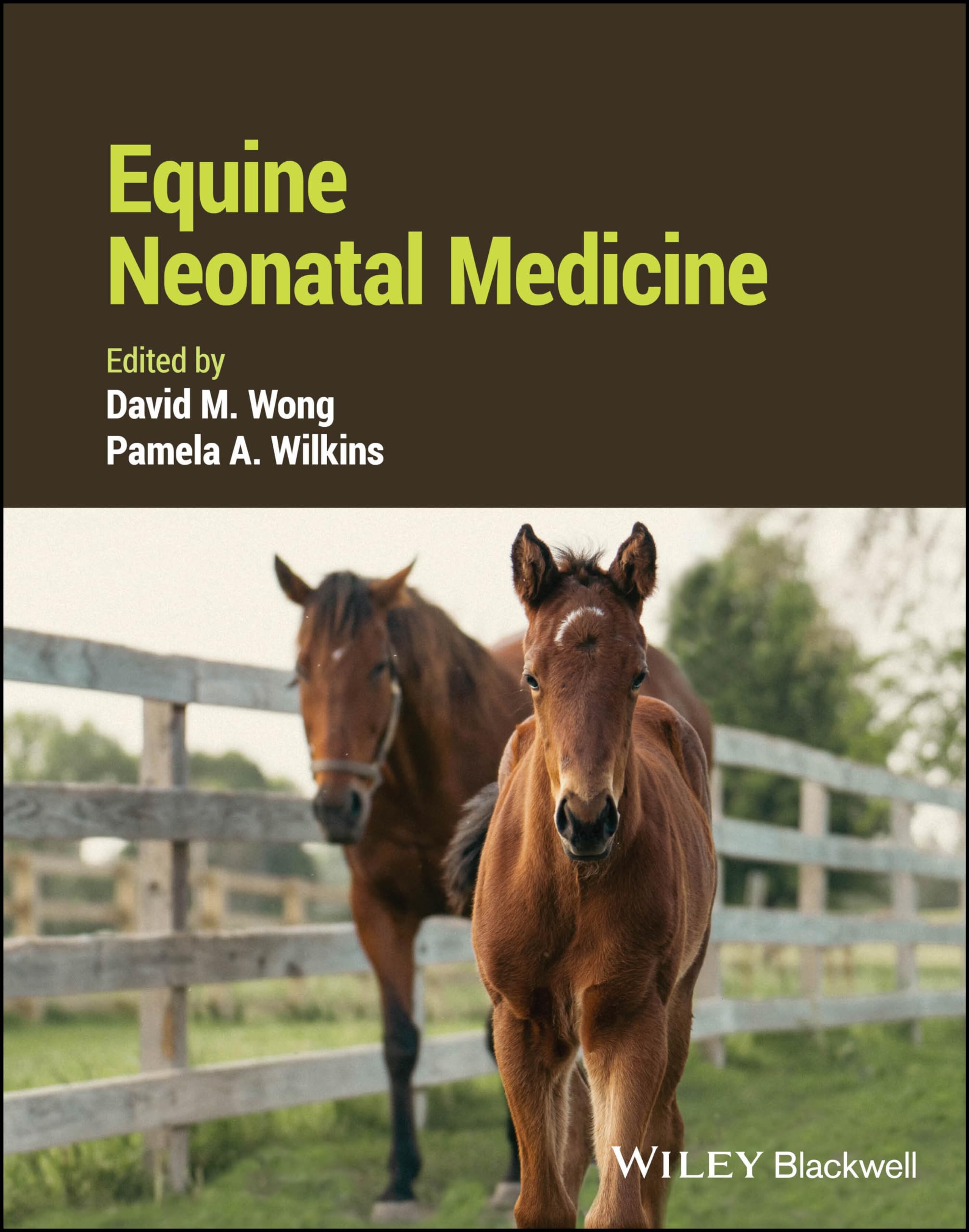 Cover of Equine Neonatal Medicine